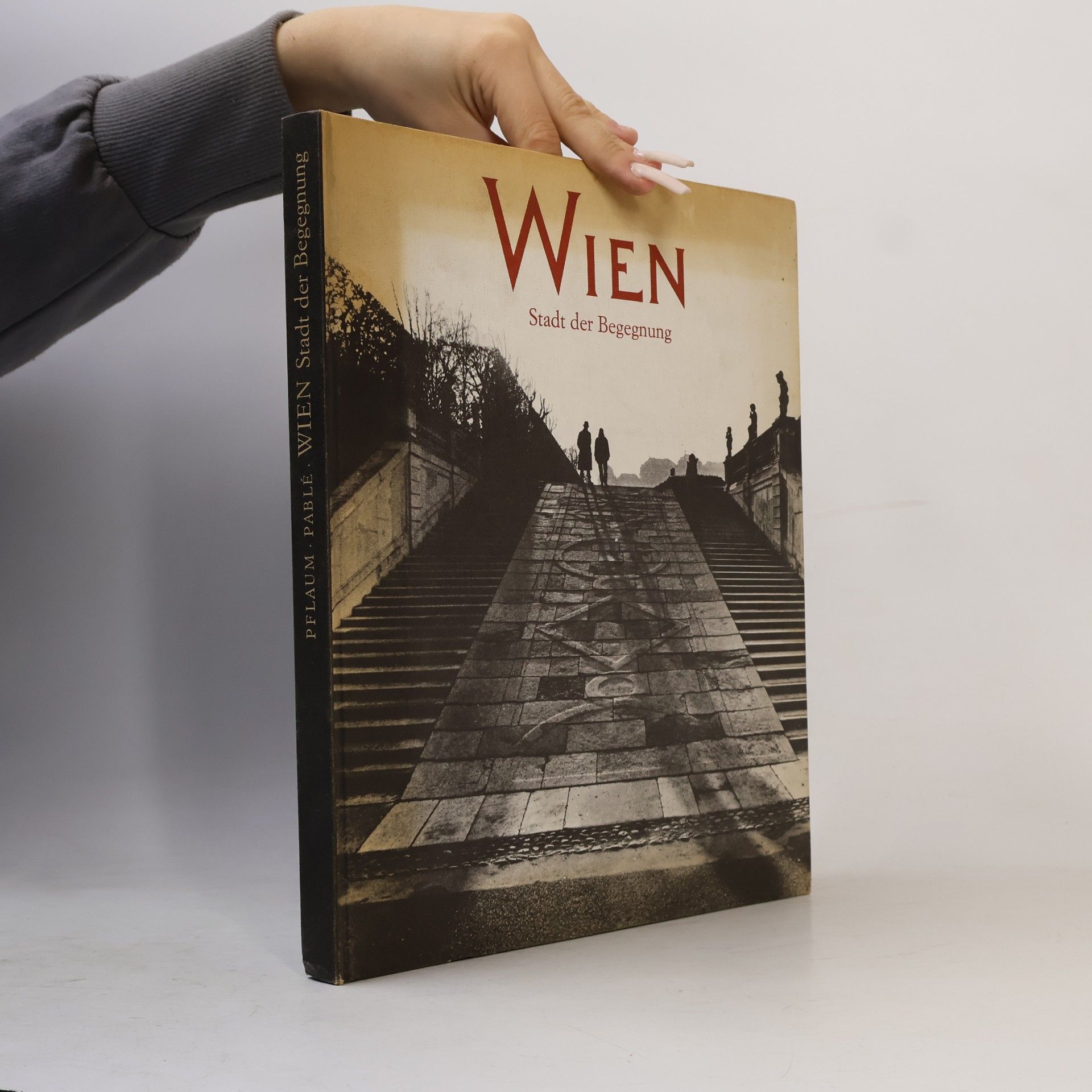 Barbara Pflaum Wien. Stadt zwischen Welten