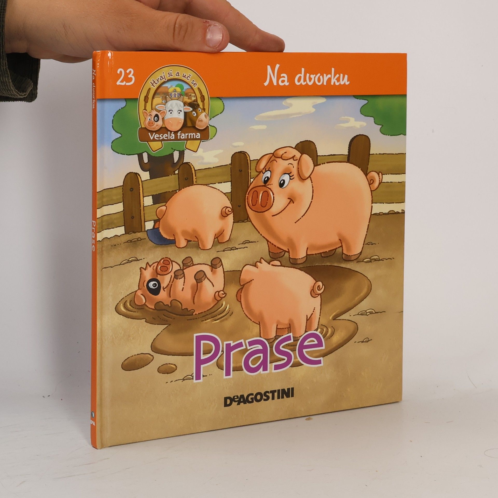 Autorenkollektiv Na dvorku 23. Prase