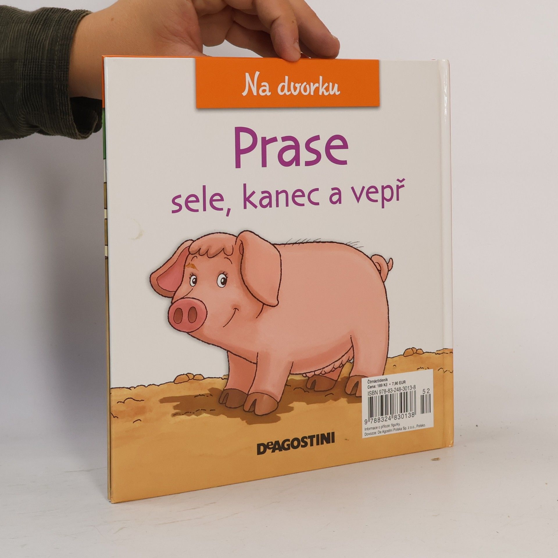 Autorenkollektiv Na dvorku 23. Prase