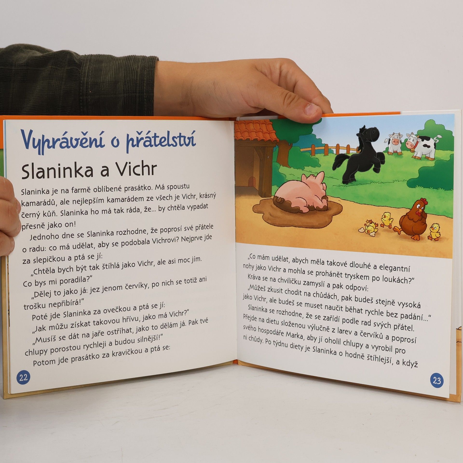 Autorenkollektiv Na dvorku 23. Prase