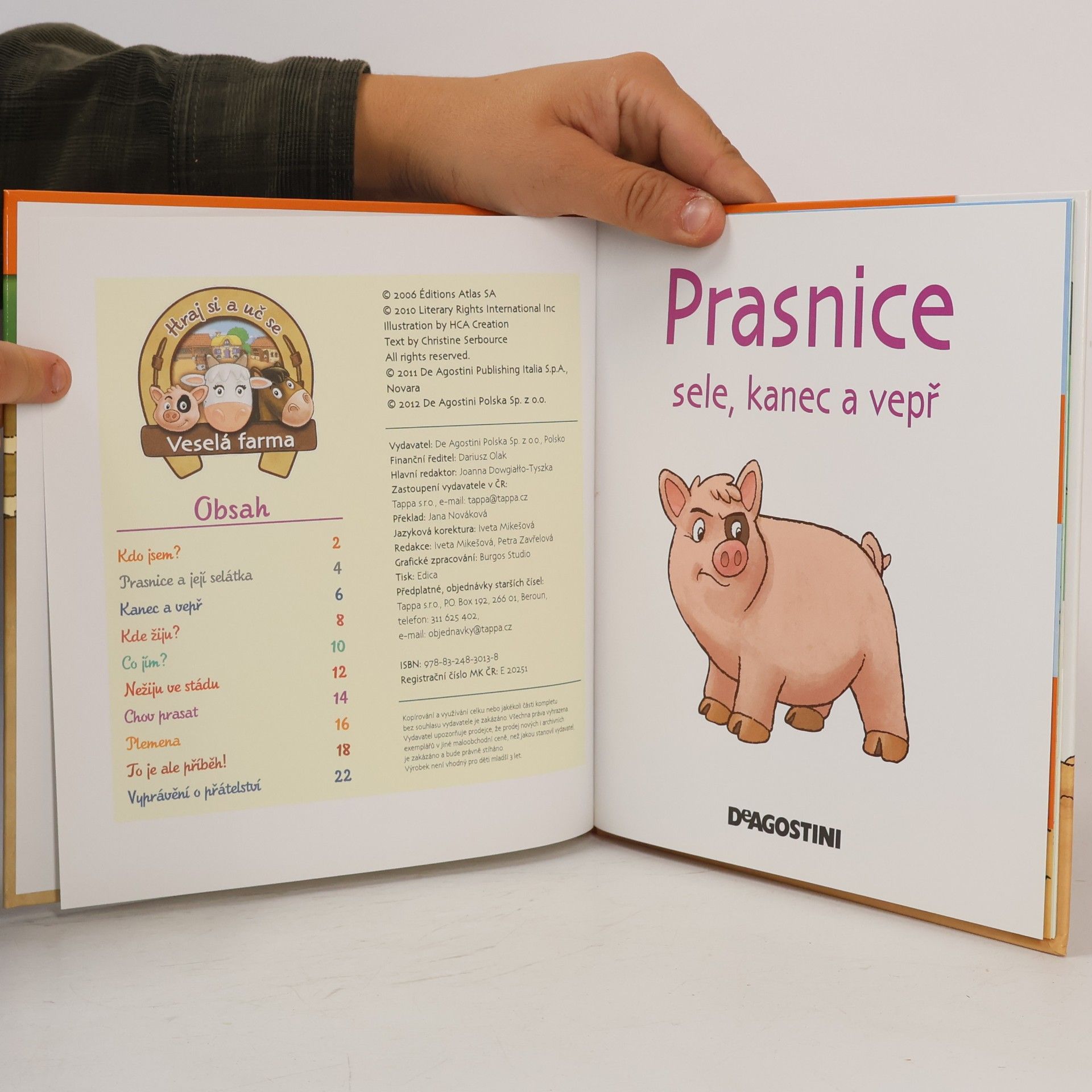Autorenkollektiv Na dvorku 23. Prase