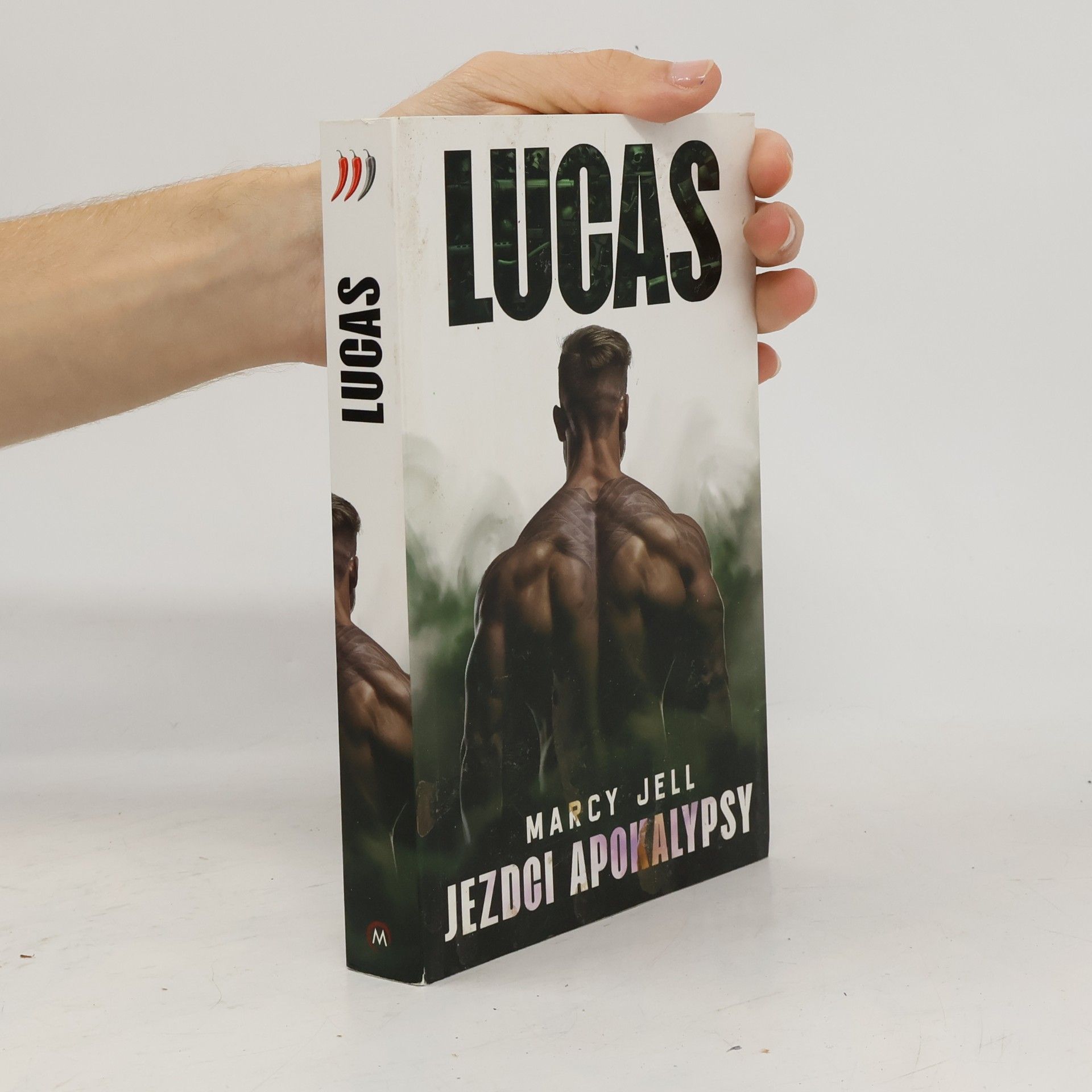 Marcy Jell Jezdci apokalypsy. Kniha druhá, Lucas