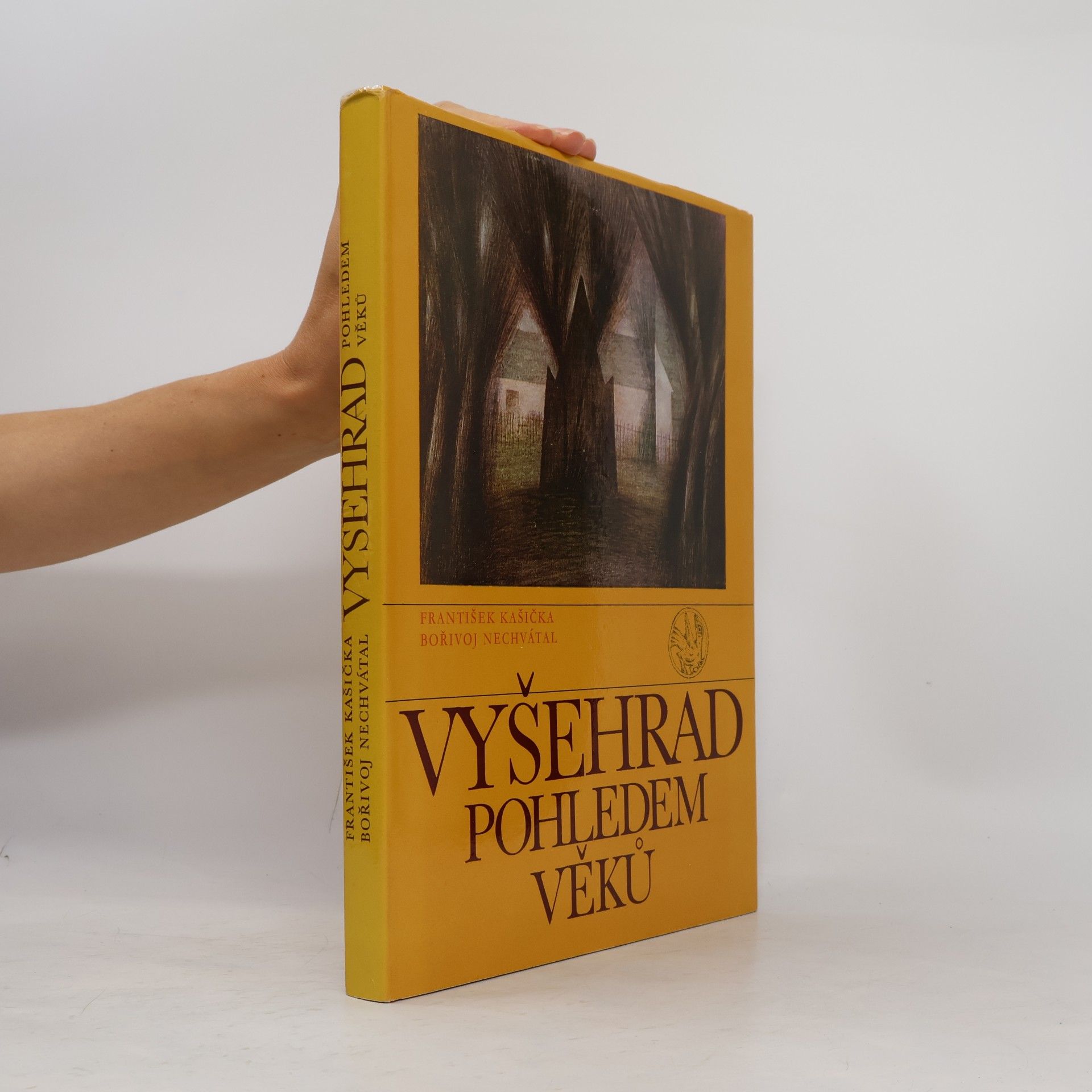 František Kašička Vyšehrad pohledem věků