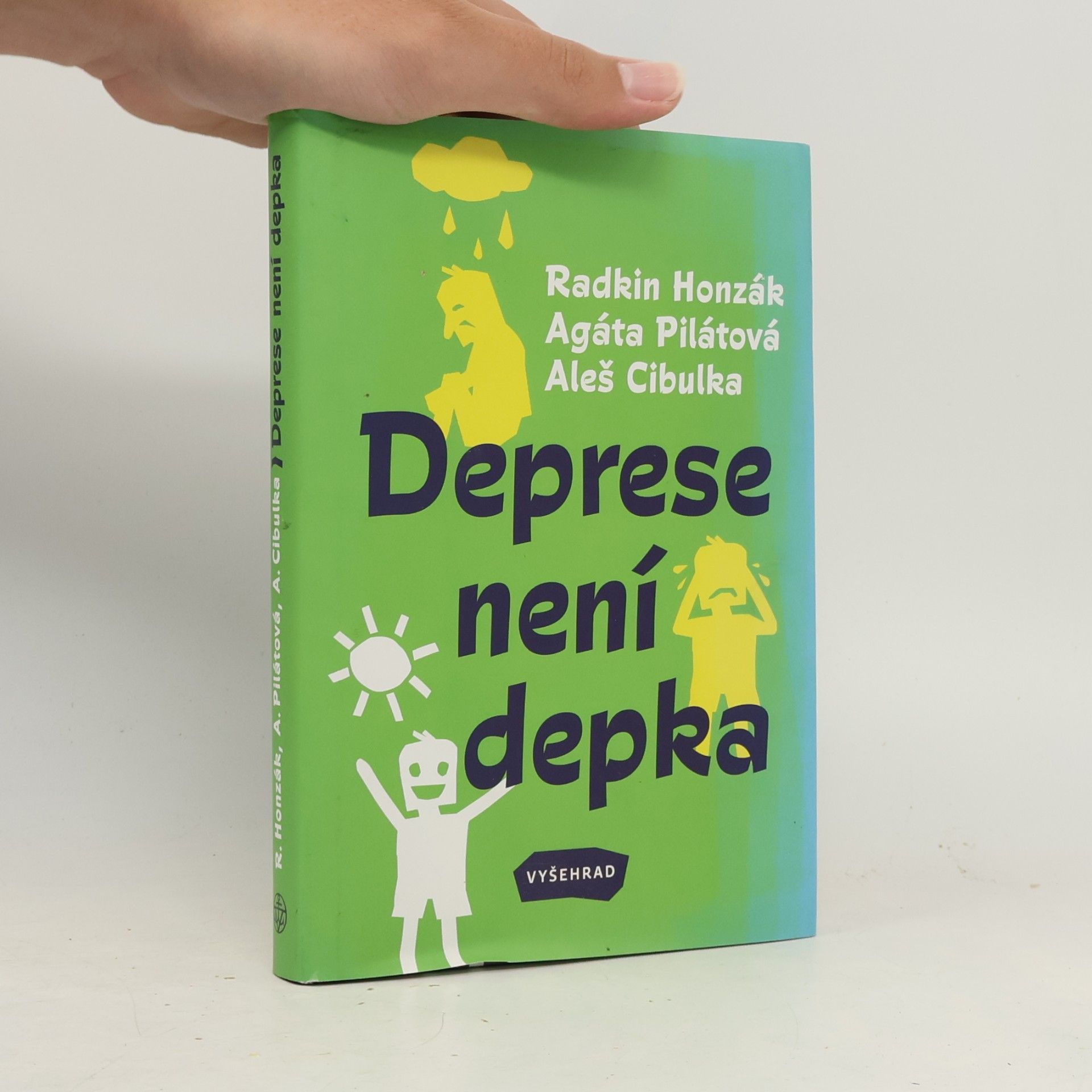 Kolektiv autorů Deprese není depka