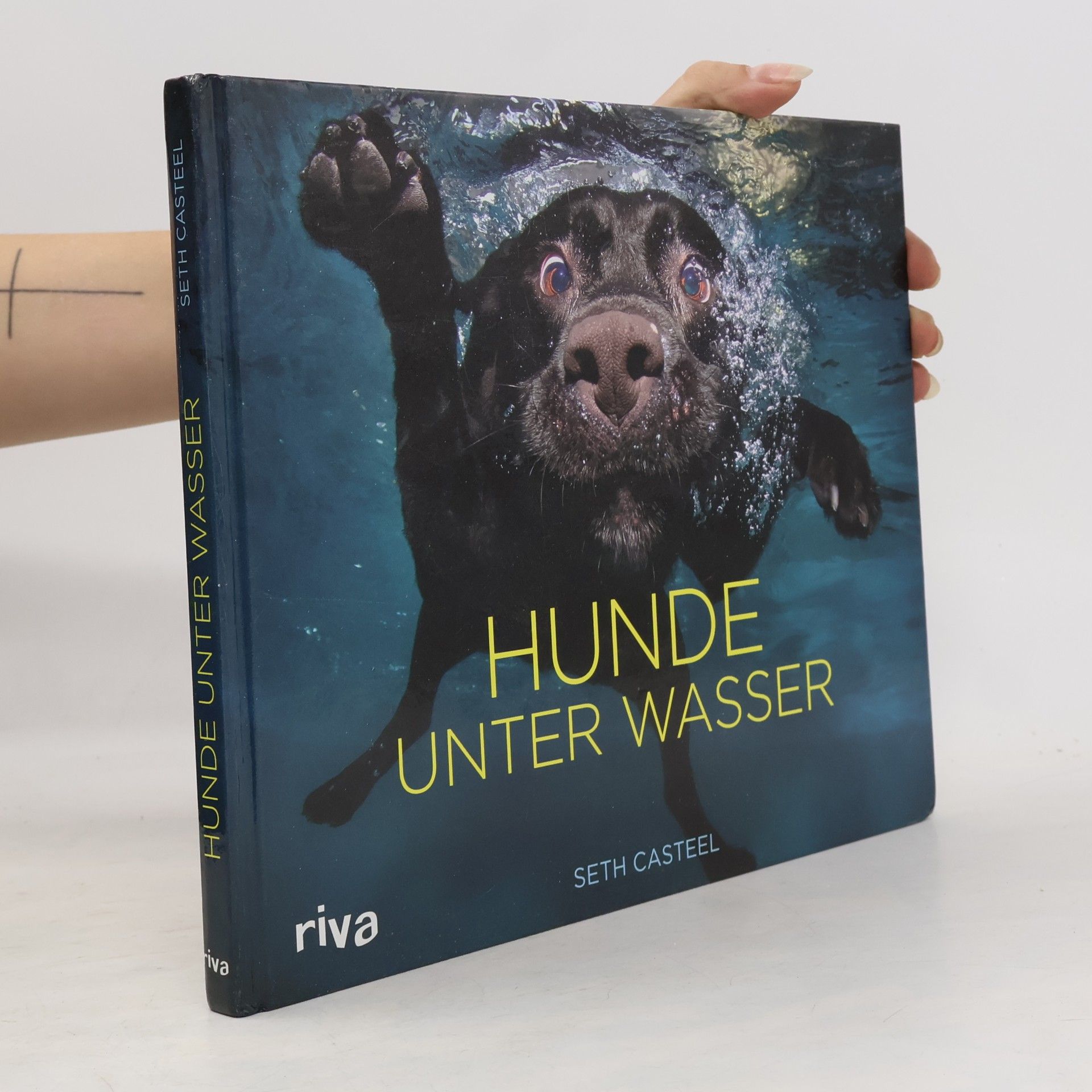 Seth Casteel Hunde unter Wasser