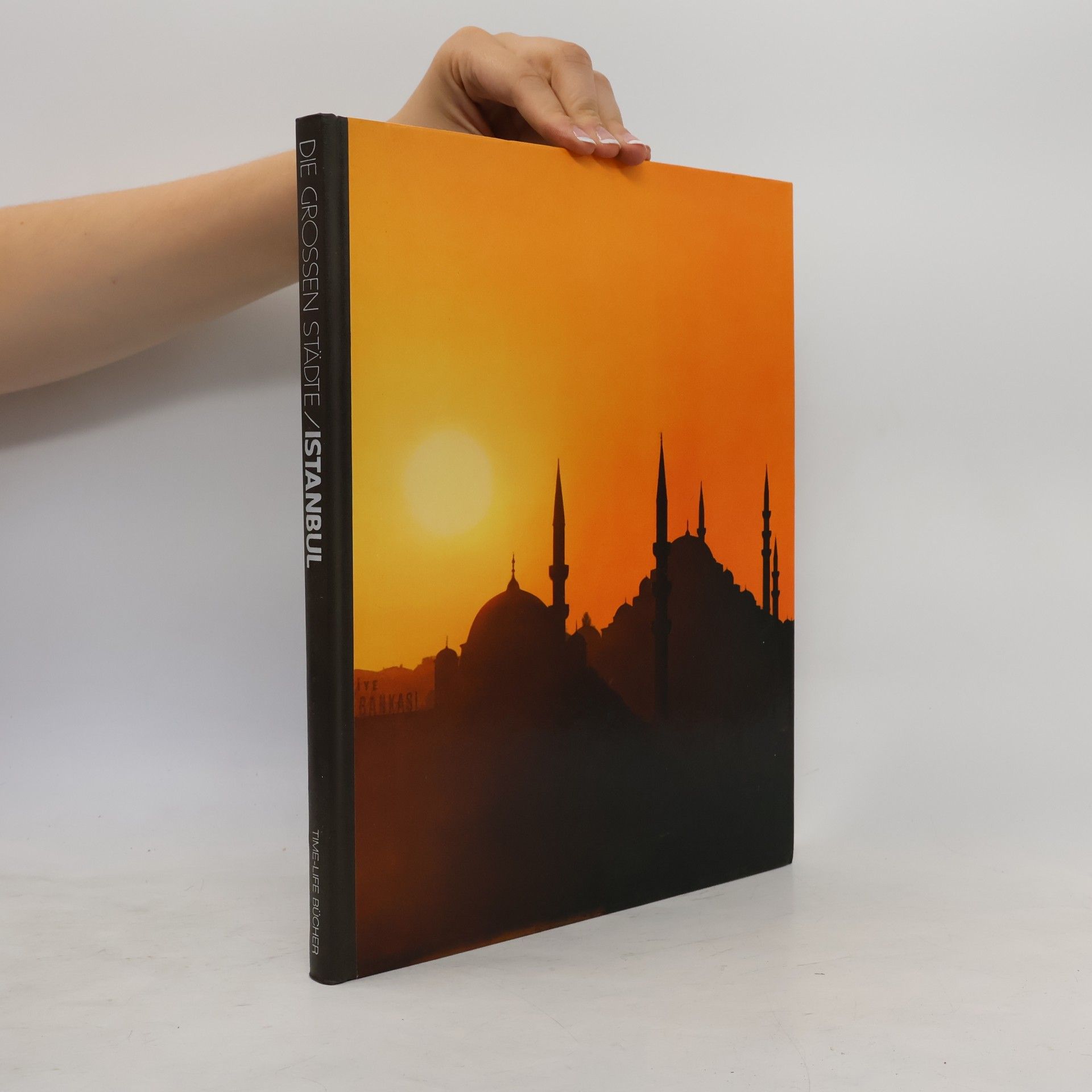 Kolektiv autorů Die grossen Städte: Istanbul