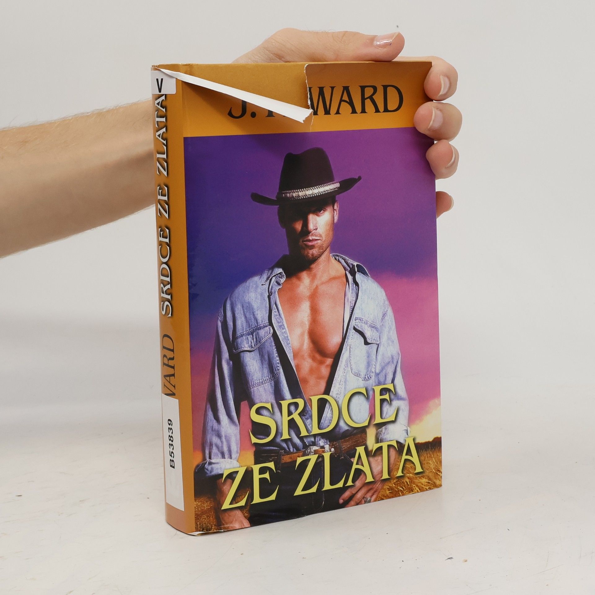 J. R. Ward Srdce ze zlata