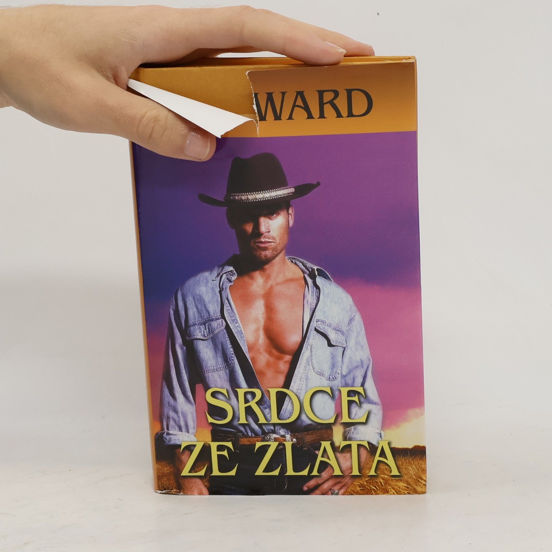 J. R. Ward Srdce ze zlata