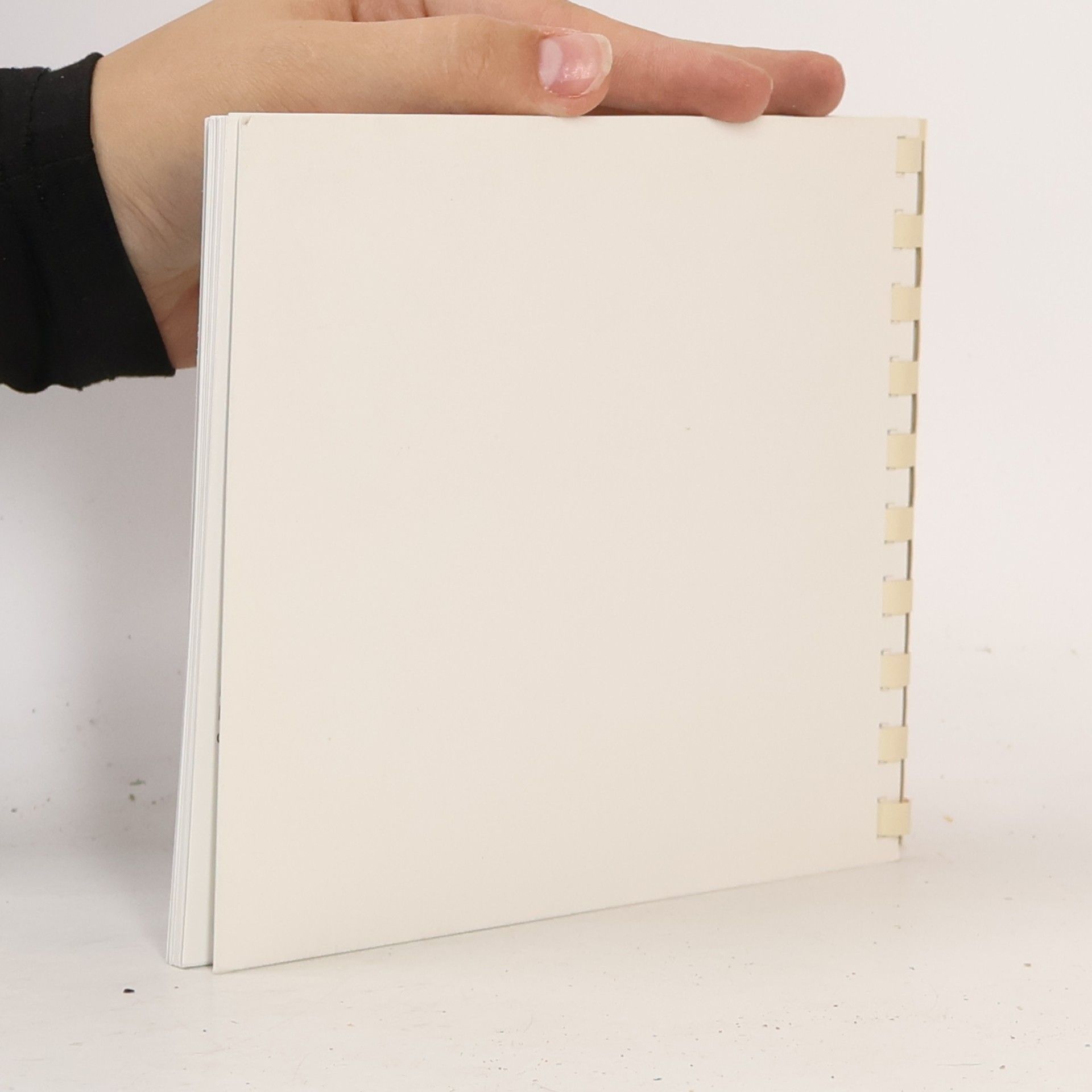 Autorenkollektiv Tibetská ikonografie