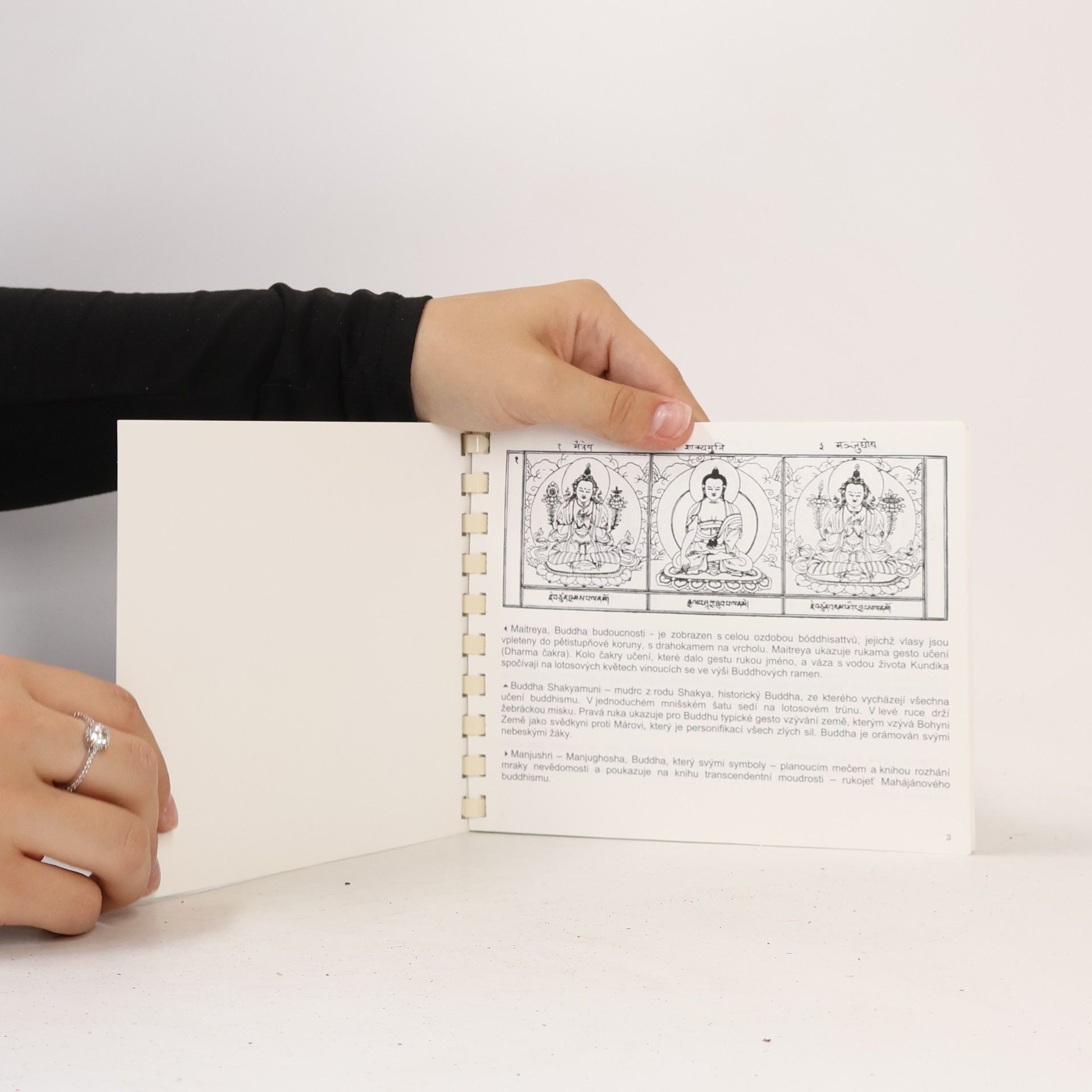 Autorenkollektiv Tibetská ikonografie