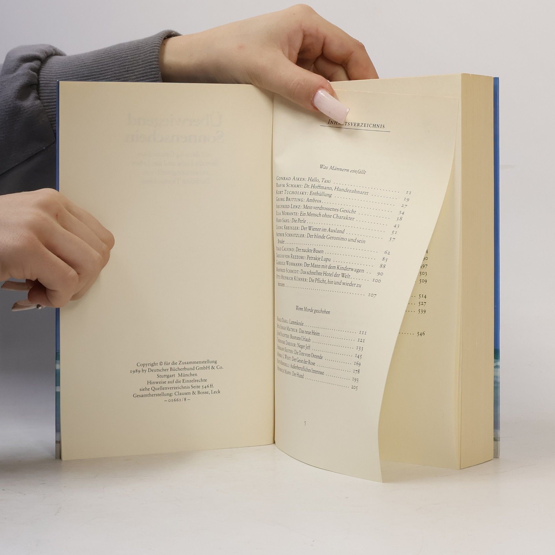 Autorenkollektiv Überwiegend Sonnenschein