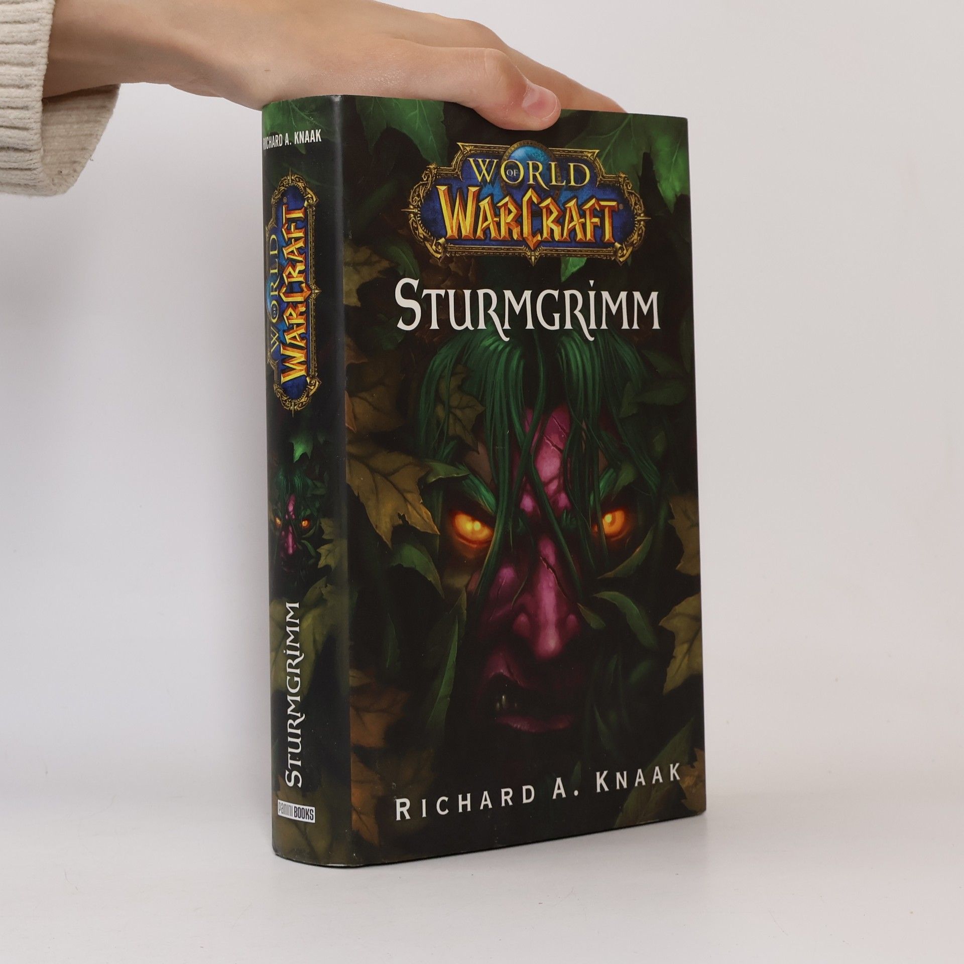 Richard A. Knaak World of WarCraft, Sturmgrimm