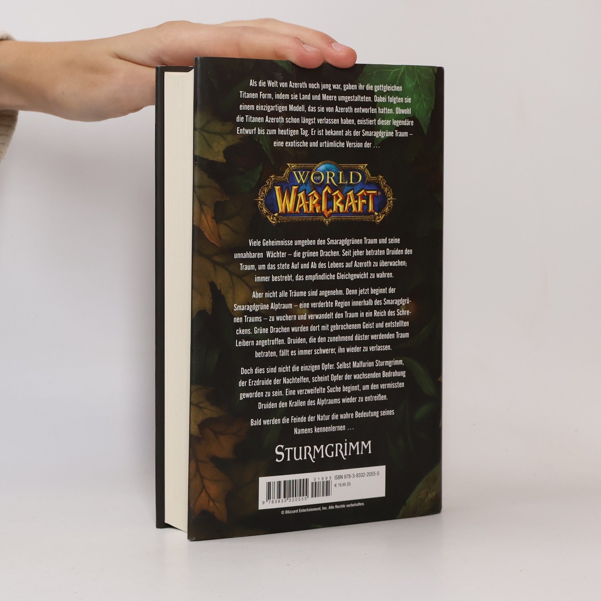 Richard A. Knaak World of WarCraft, Sturmgrimm
