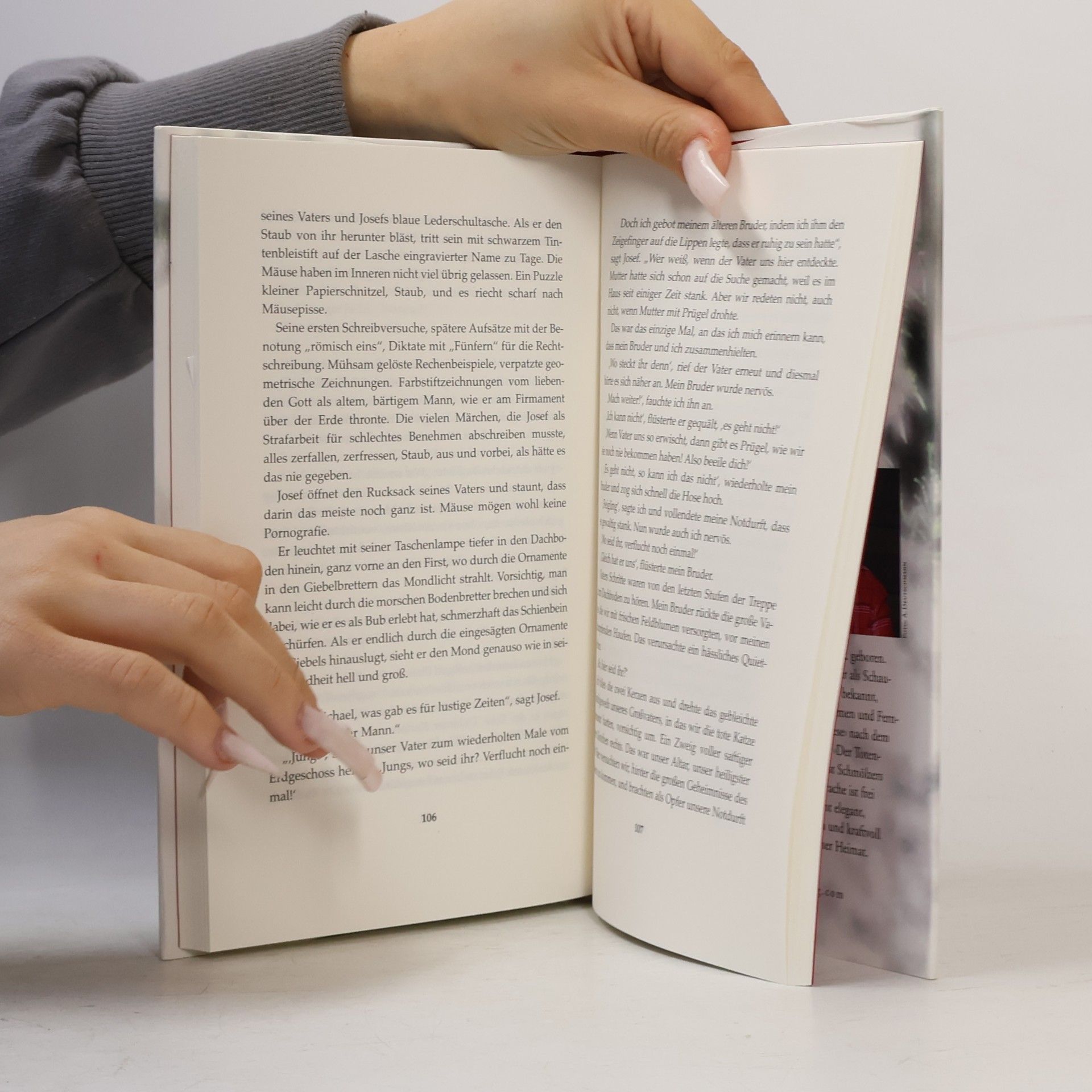 August Schmölzer Der Totengräber im Buchsbaum