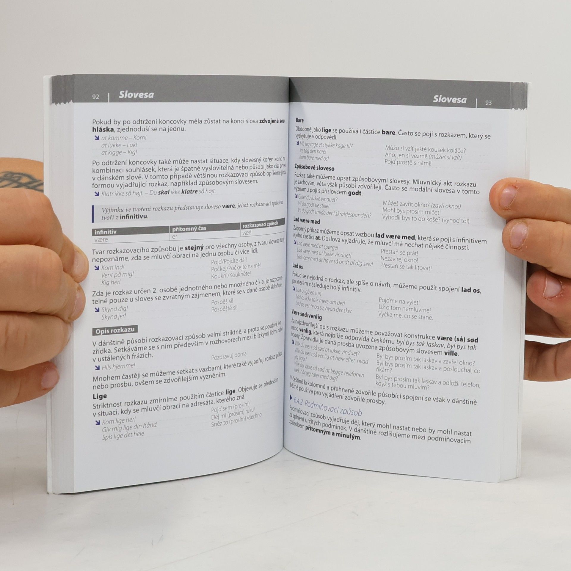 Autorenkollektiv Gramatika současné dánštiny