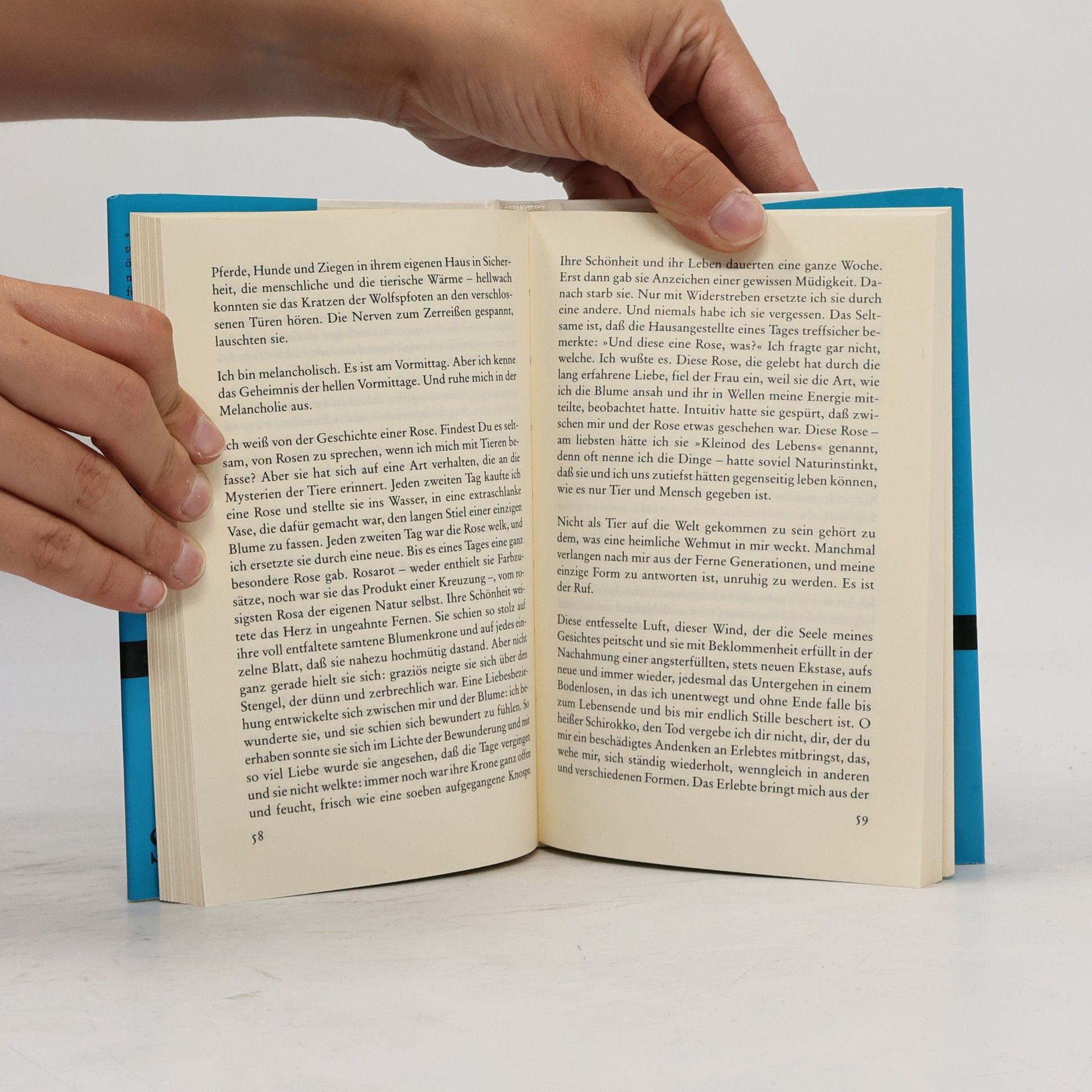 Clarice Lispector Aqua viva