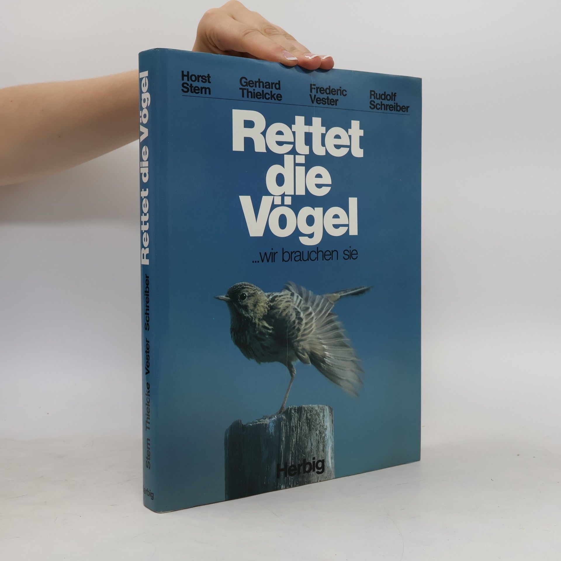 Rettet die Vögel, wir brauchen sie