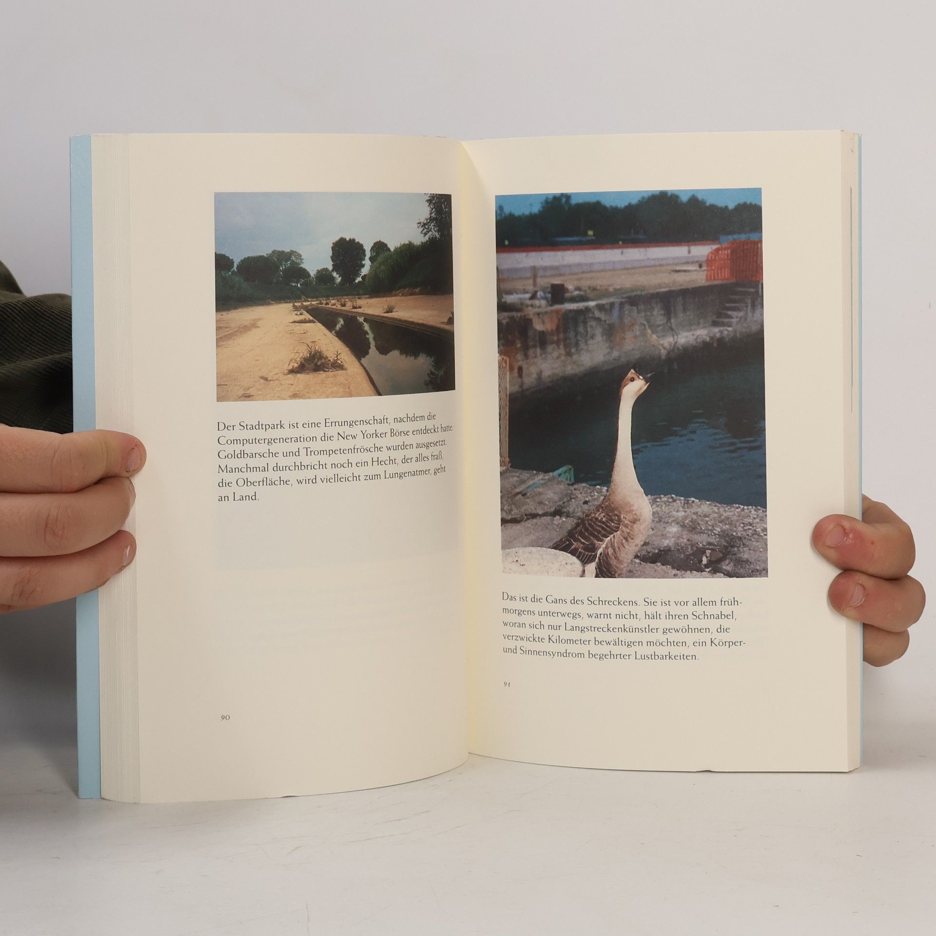 Günter Herburger Der Tod. Eine Reise ohne Ende. Photonovelle