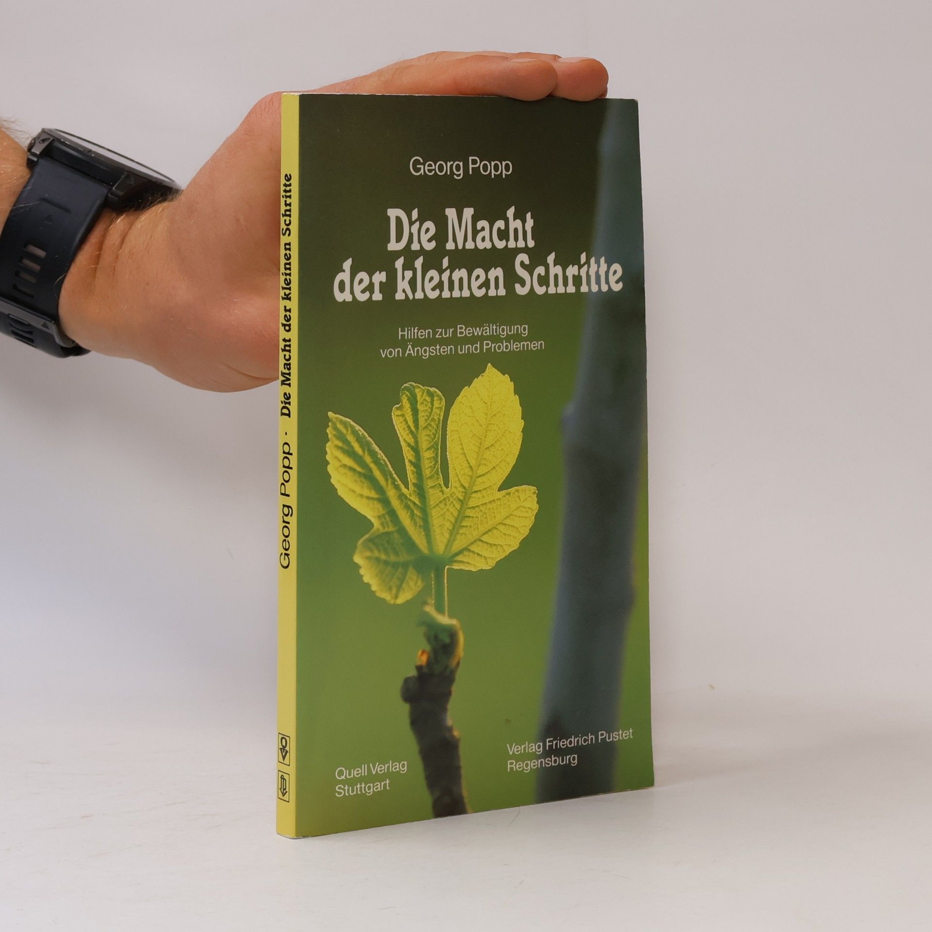 Georg Popp Die Macht der kleinen Schritte