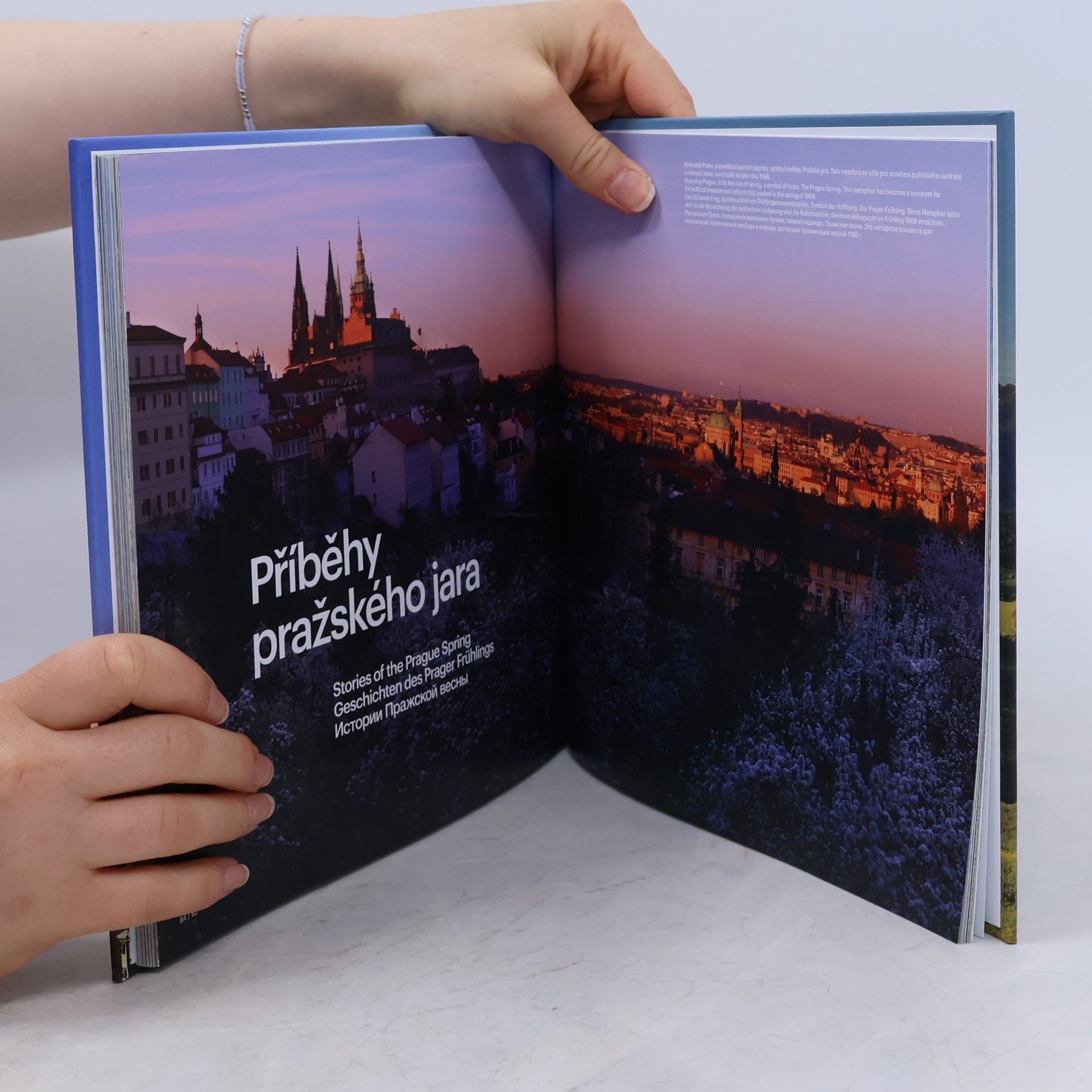 Pavel Radosta Společné století = Czech and Slovak century = Das tschechische und slowakische Jahrhundert = Češskij i slovackij vek