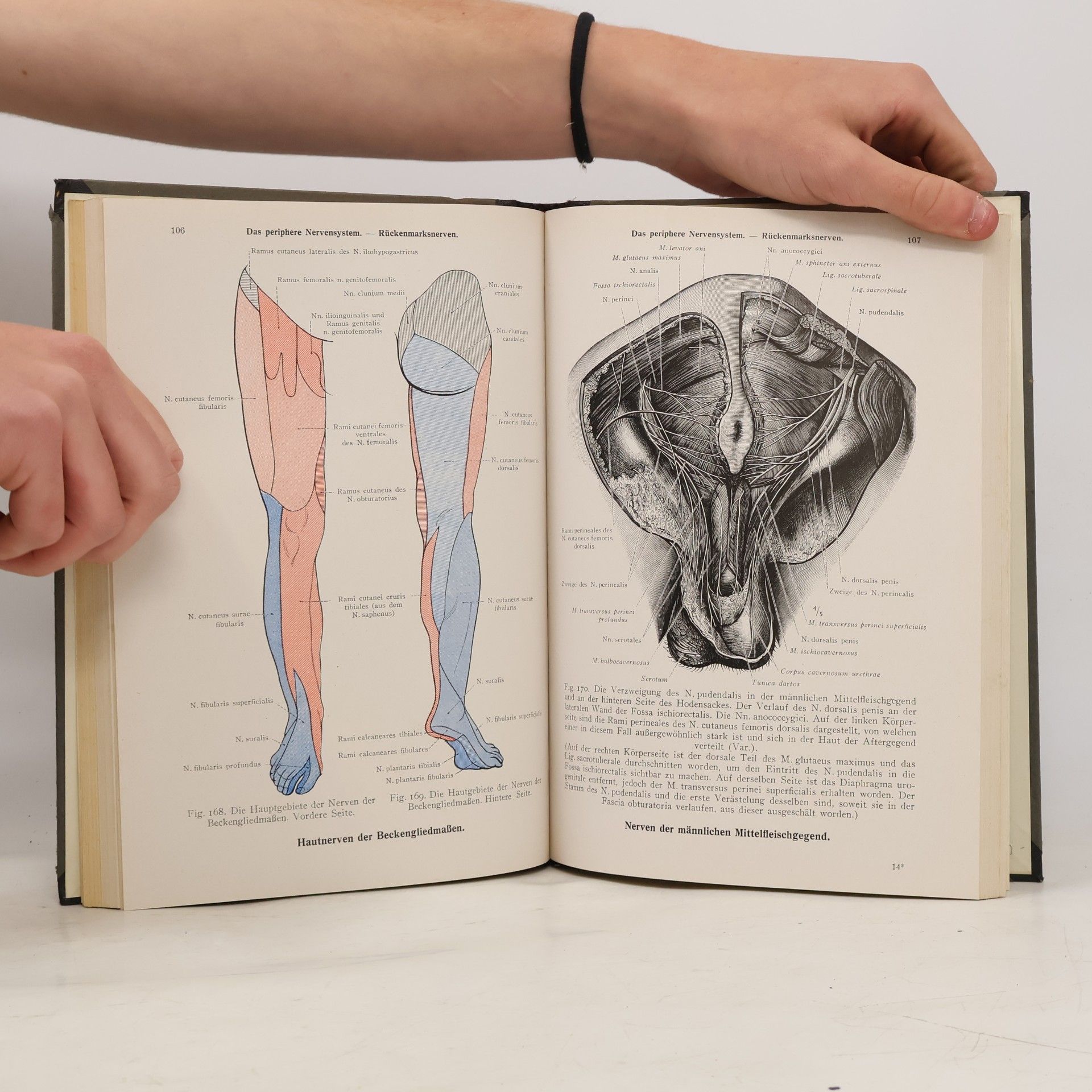 Kolektiv autorů Toldtův anatomický atlas pro studující lékaře 3. díl