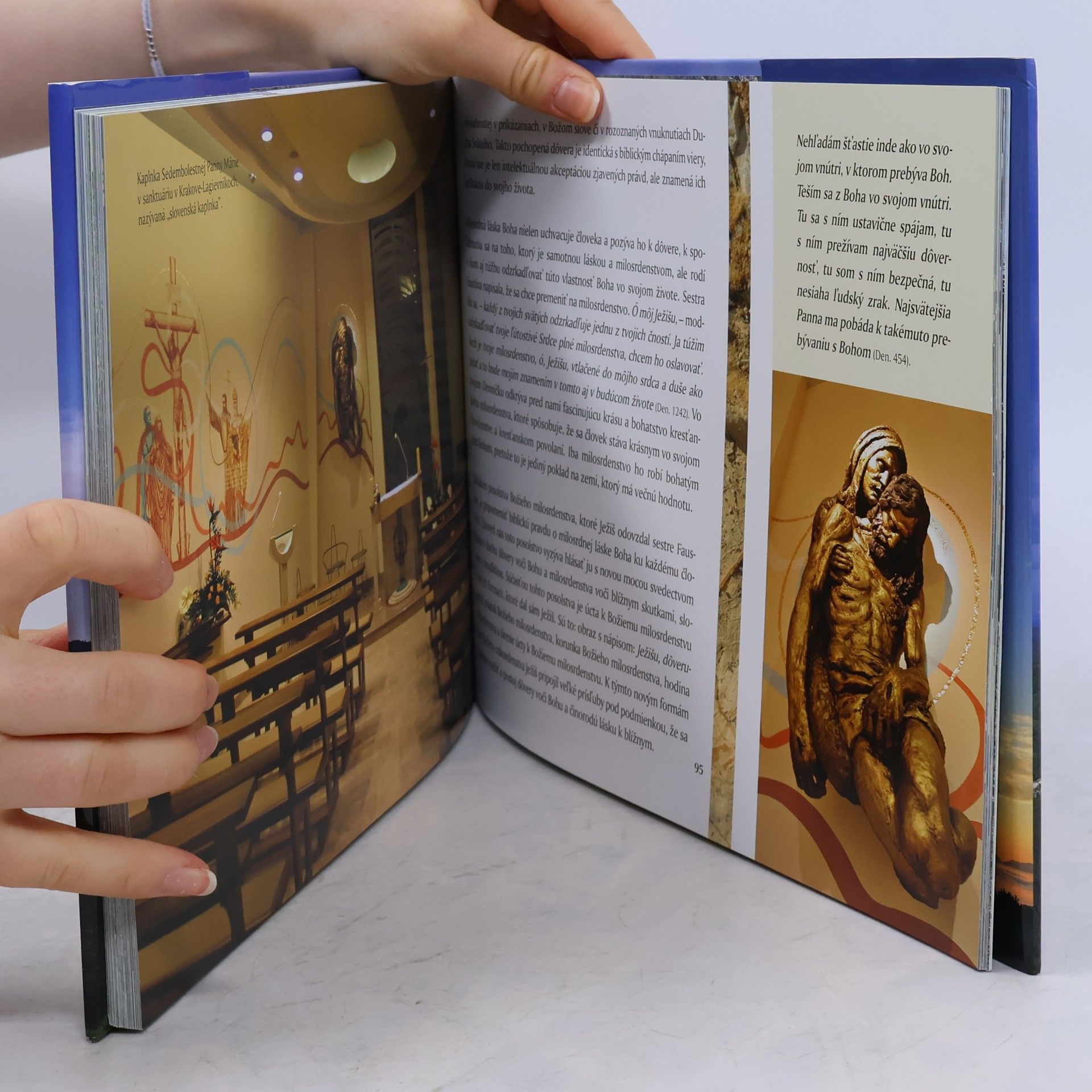 Autores varios Skalné sanktárium Božieho milosrdenstva