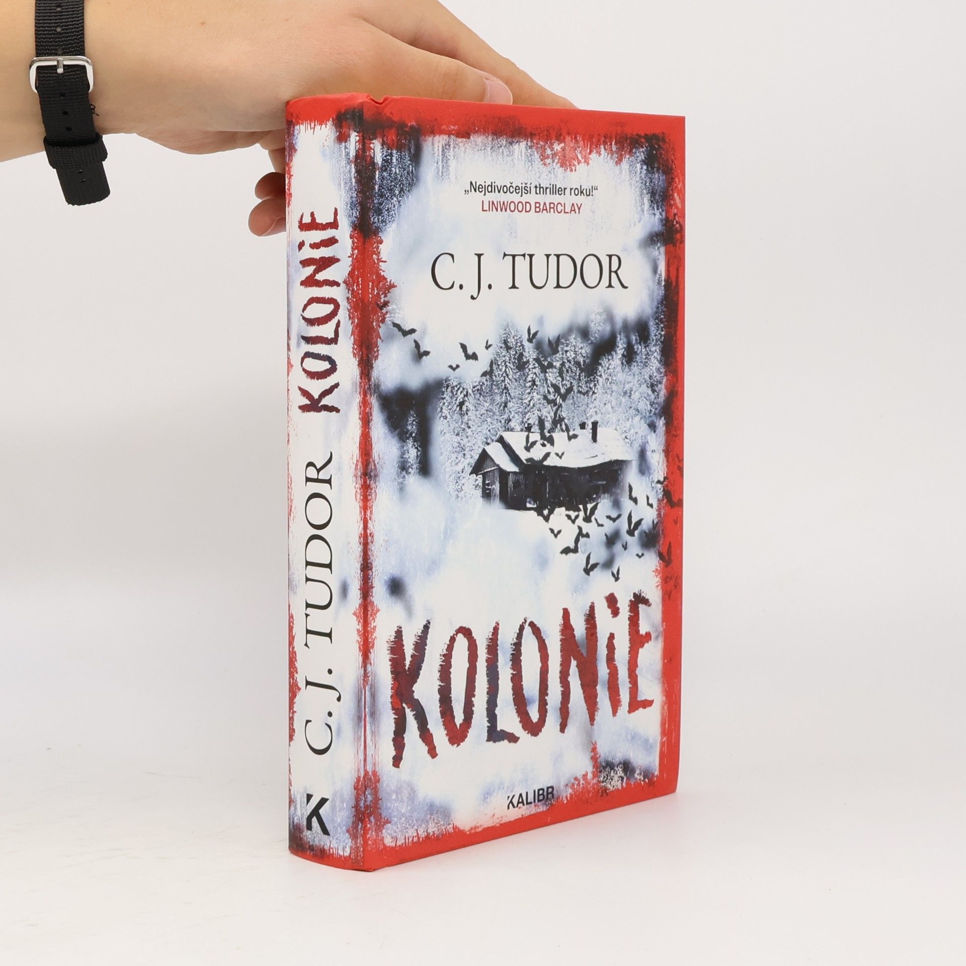 Kolonie