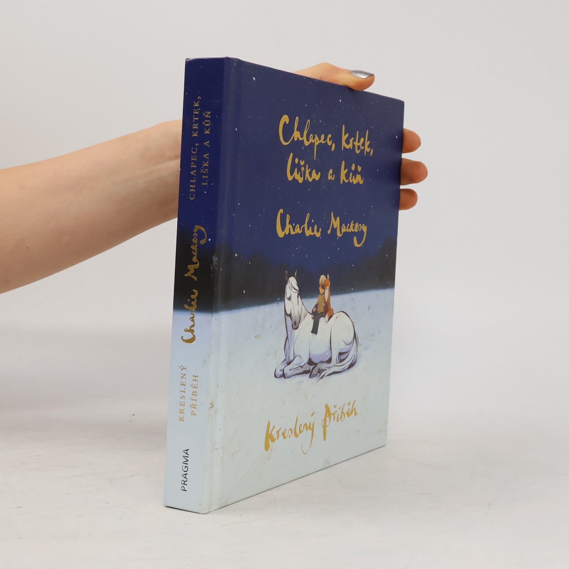 Charlie Mackesy Chlapec, krtek, liška a kůň : kreslený příběh