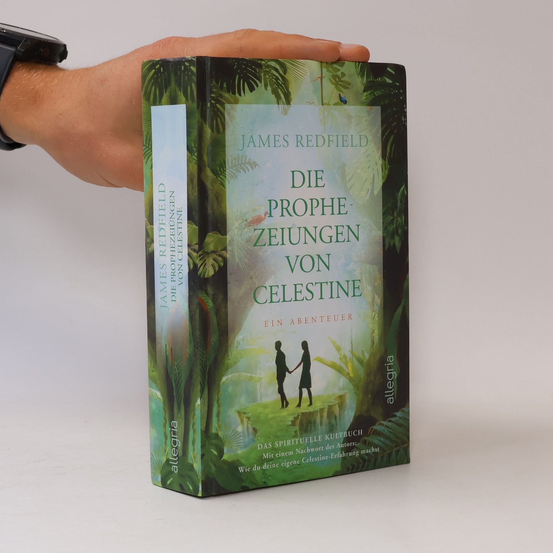 James Redfield Die Prophezeiungen von Celestine