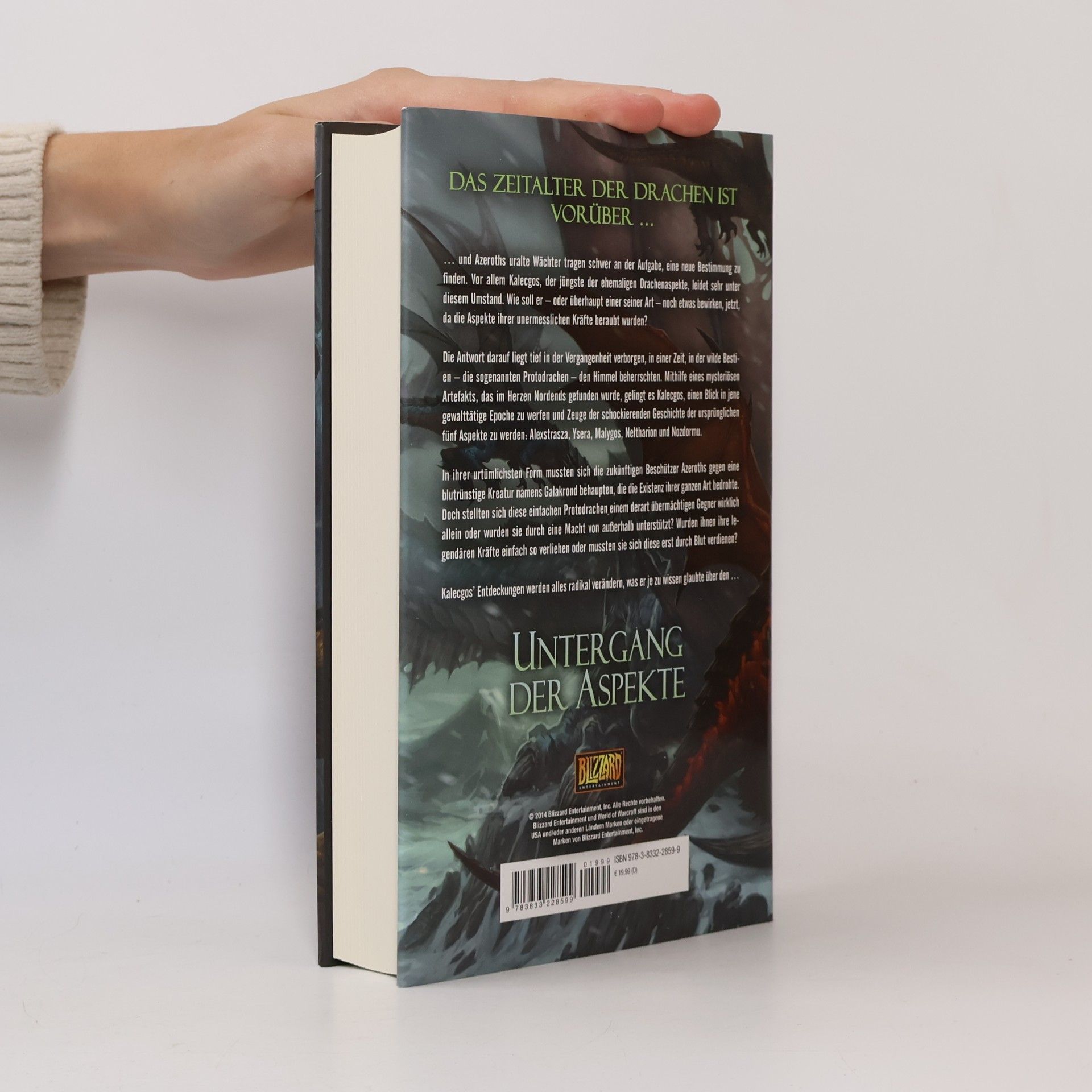 Richard A. Knaak World of Warcraft, Der Untergang der Aspekte