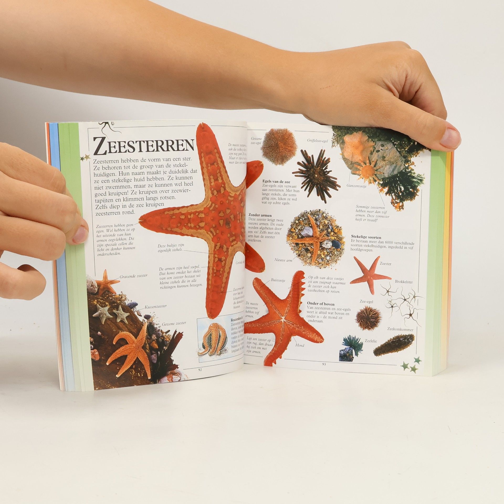 D.K. Publishing Encyclopedie voor kinderen