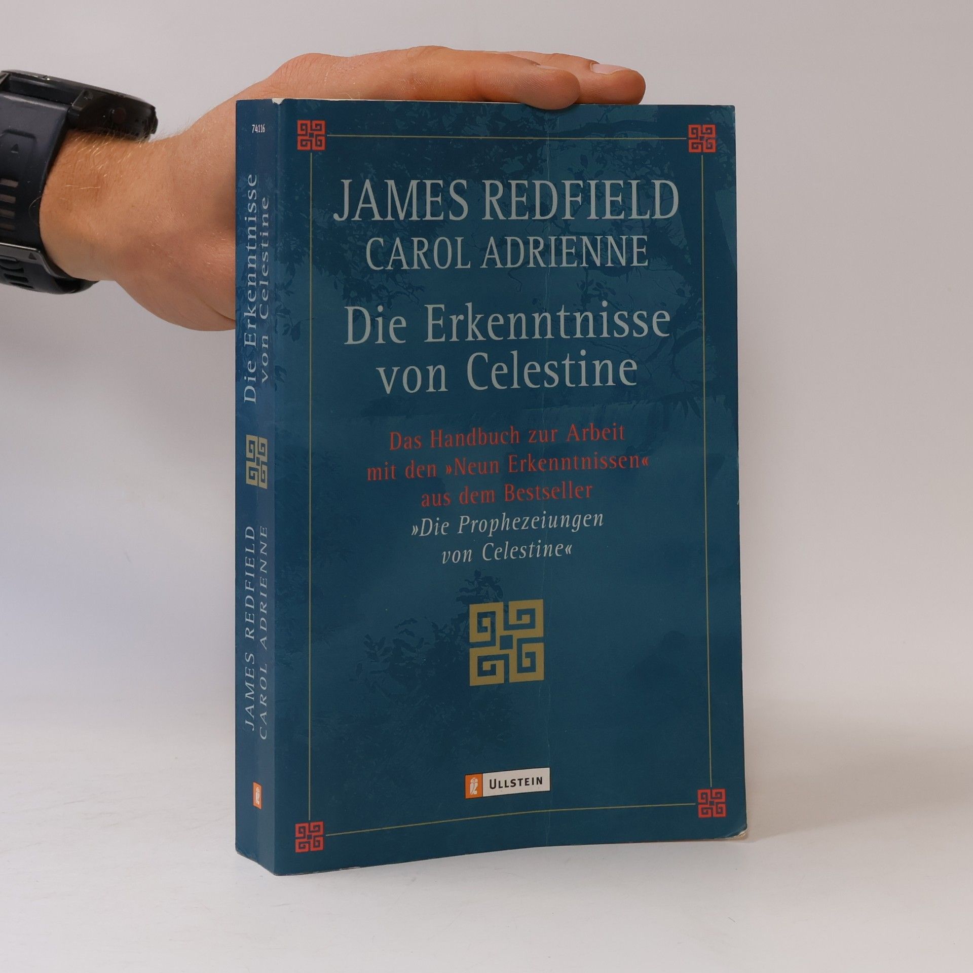 James Redfield Die Erkenntnisse von Celestine