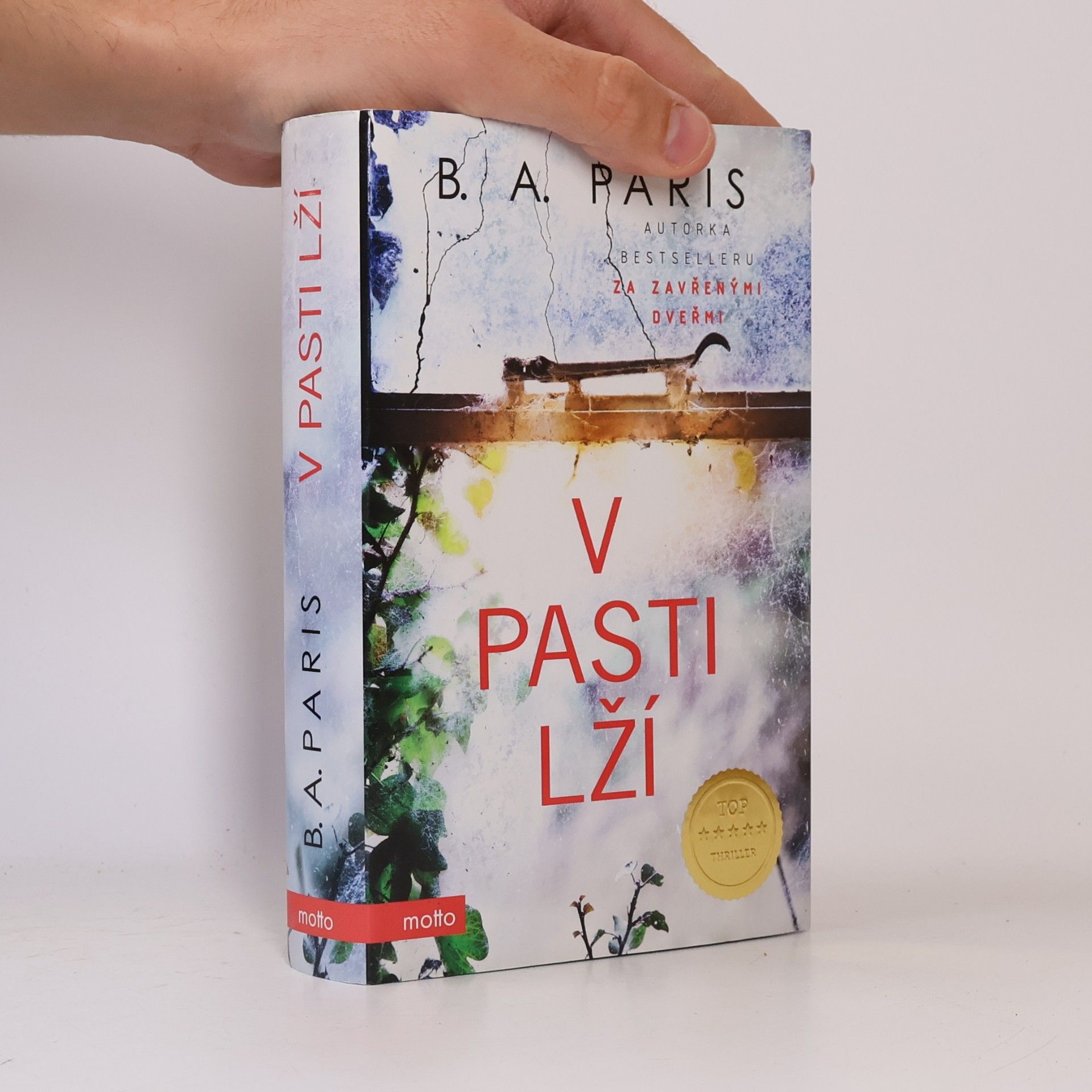 B.A. Paris V pasti lží