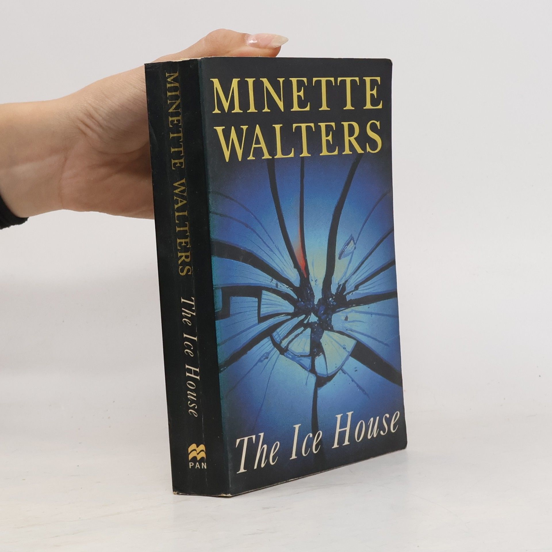 Minette Walters The Ice House