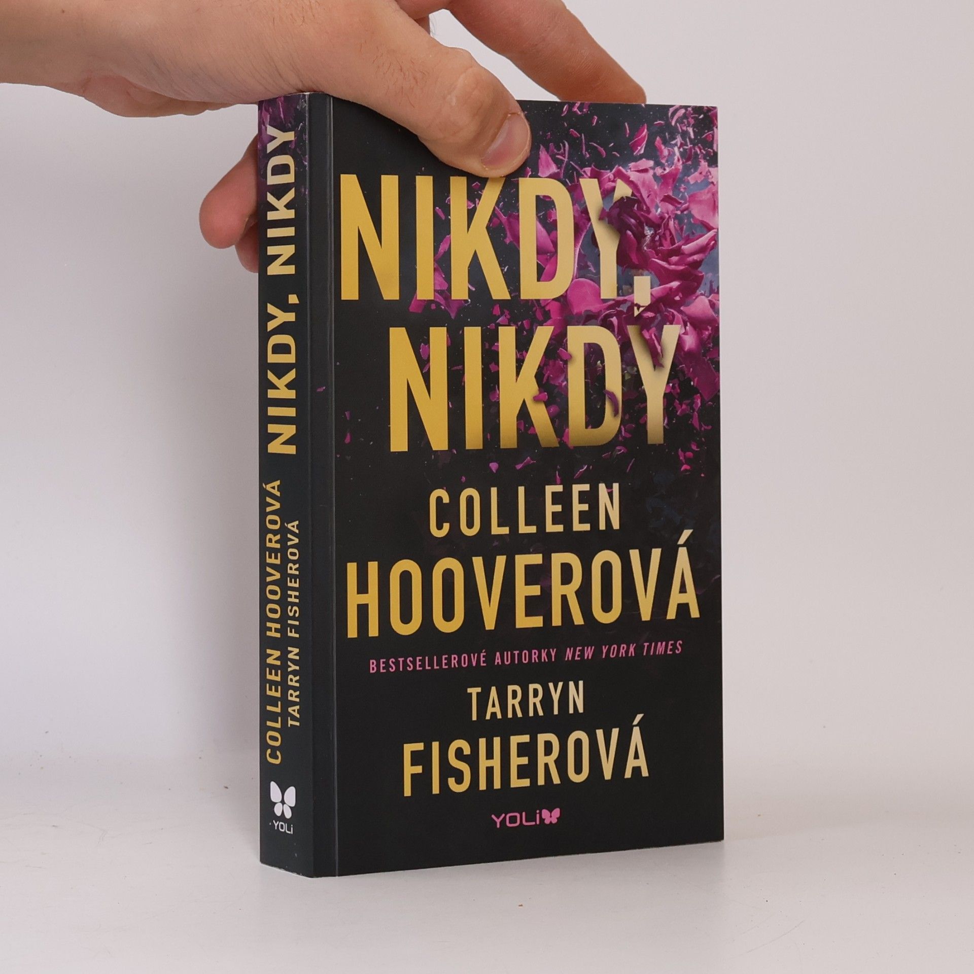 Colleen Hoover Nikdy, nikdy