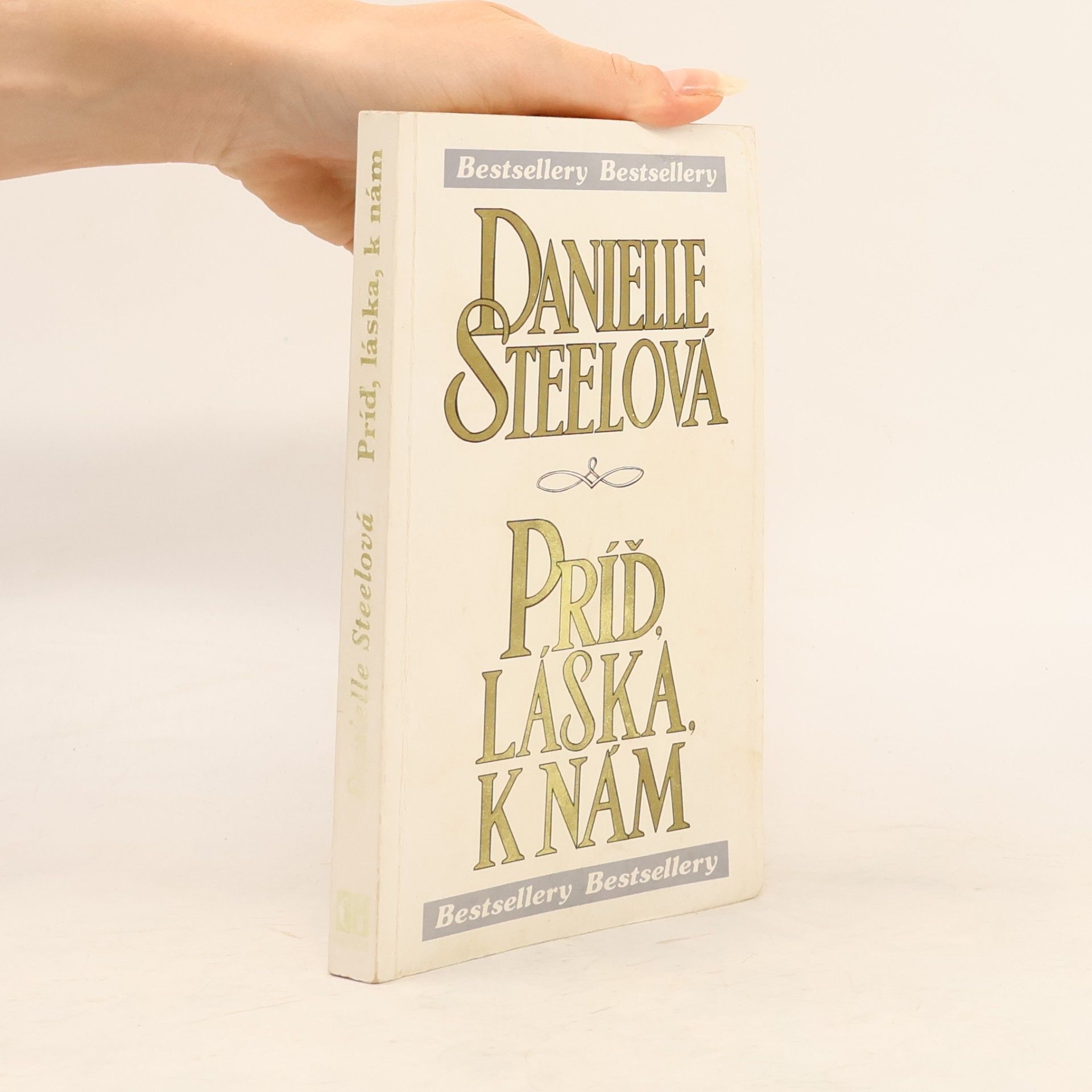 Danielle Steel Príď láska k nám