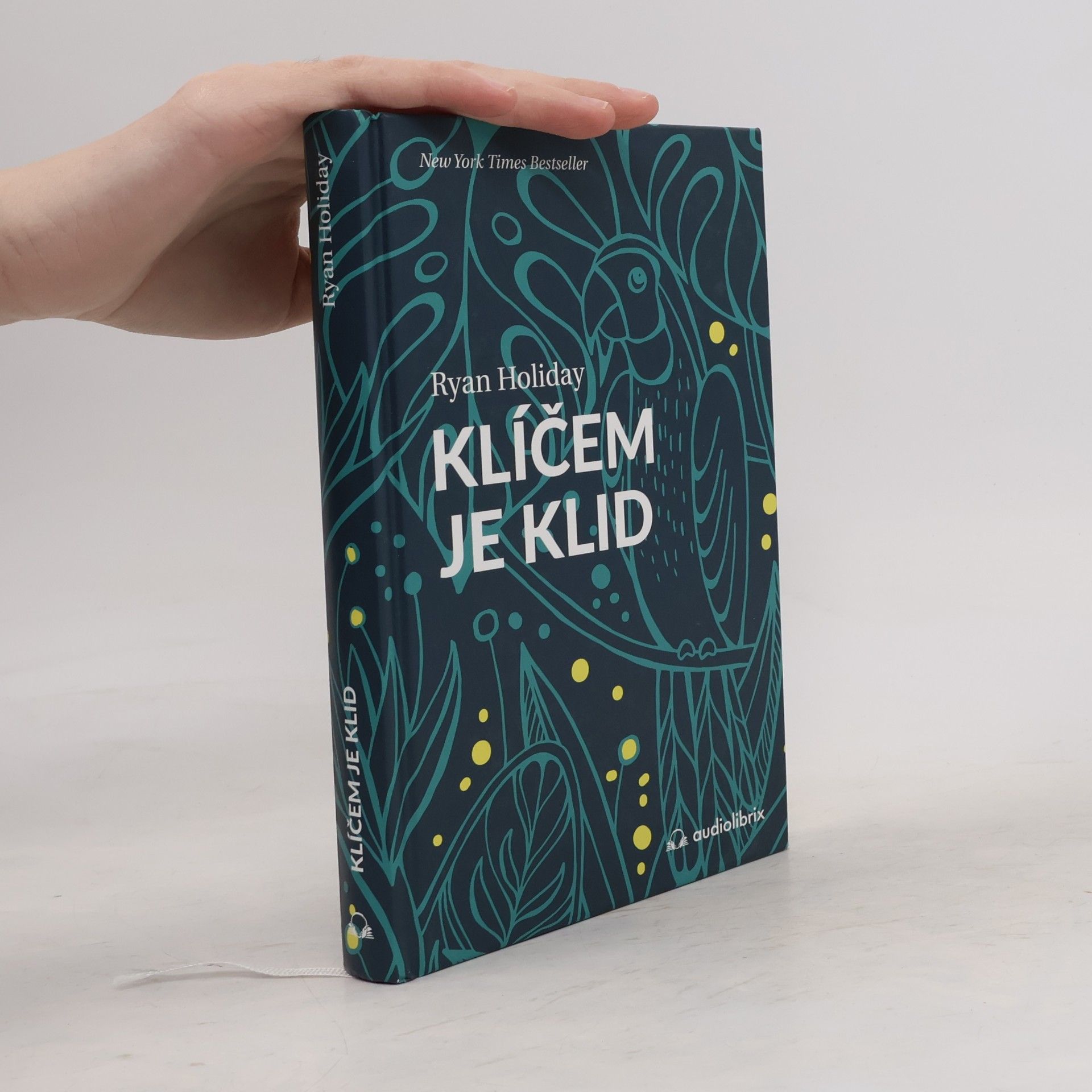 Ryan Holiday Klíčem je klid