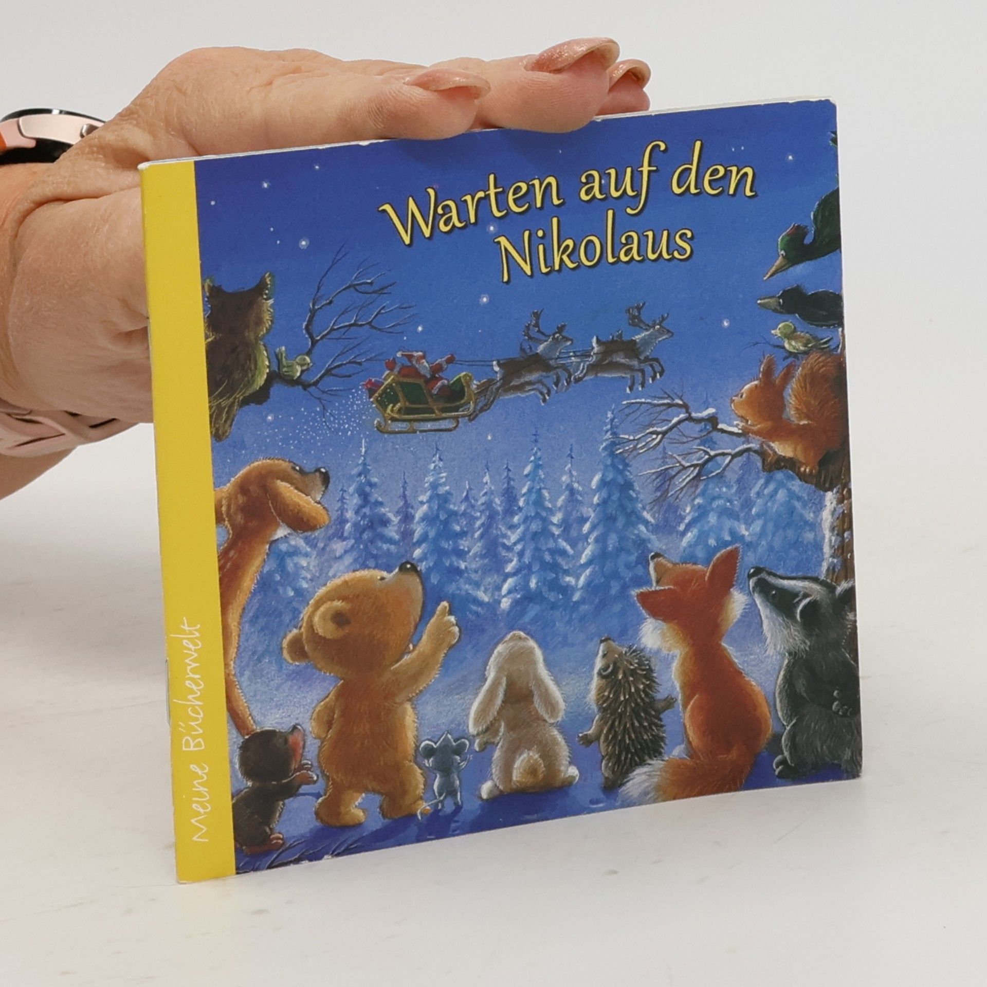 Various authors Warten auf den Nikolaus