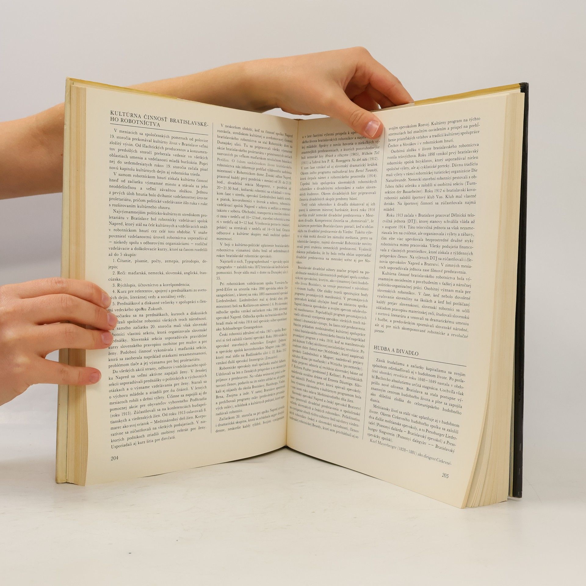 Autores varios Dejiny Bratislavy