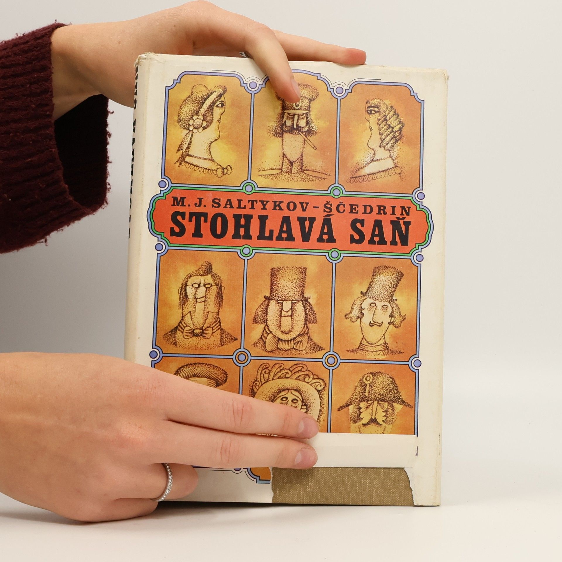 Michail Jewgrafowitsch Saltykow-Schtschedrin Stohlavá saň