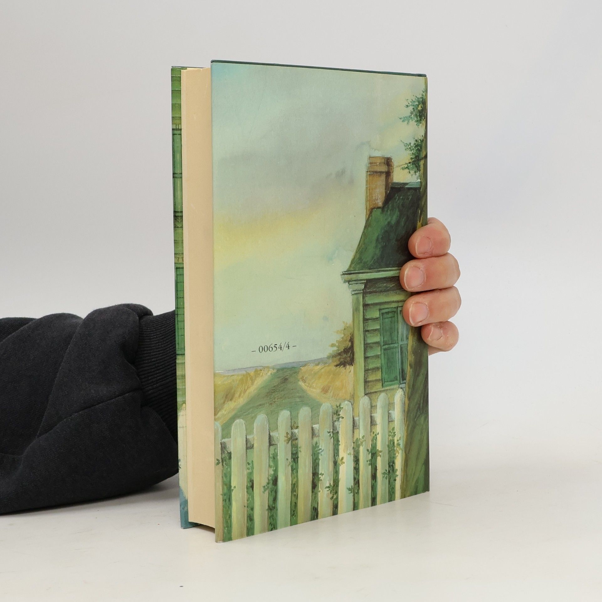 Lucy Maud Montgomery Anne auf Green Gables