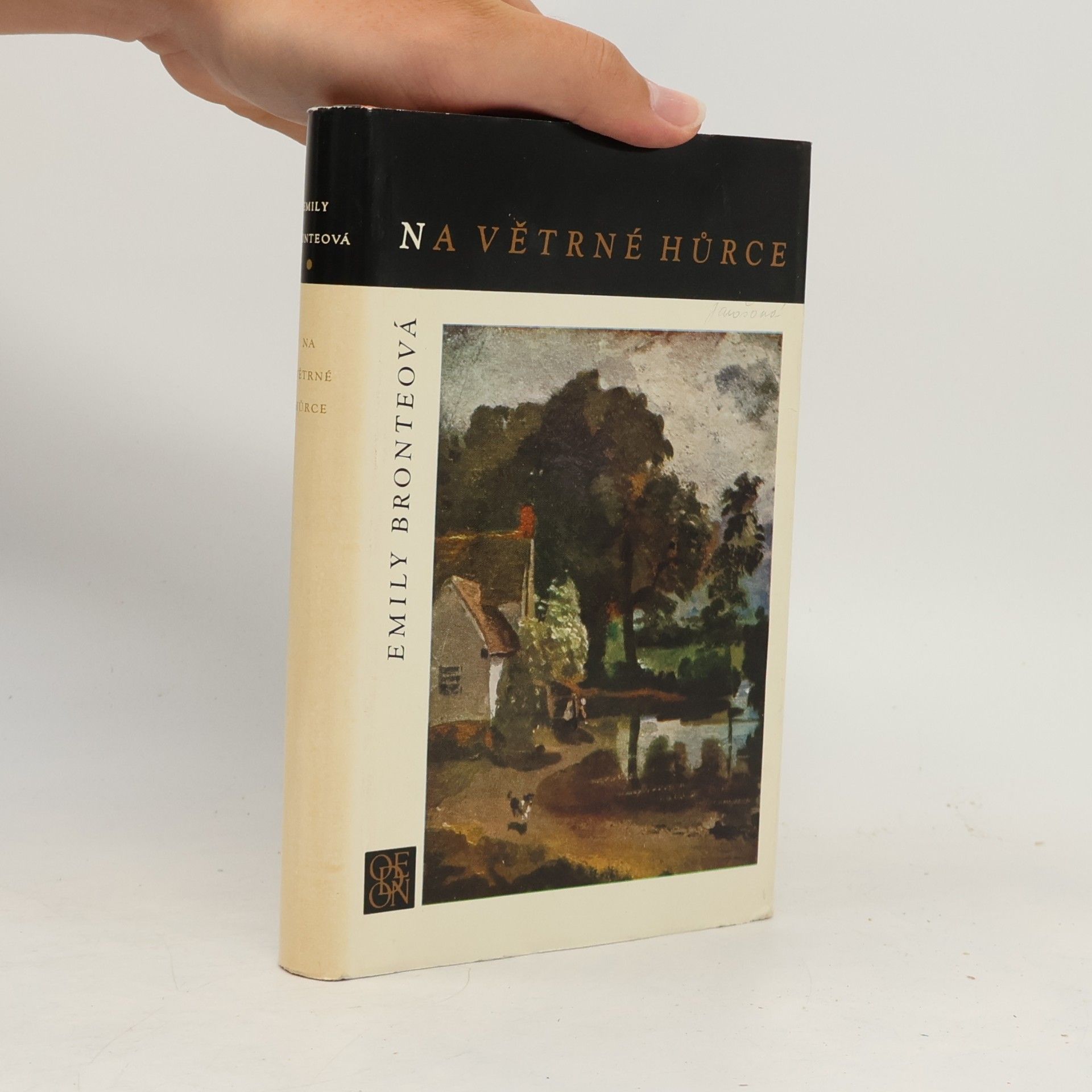 Emily Brontë Na Větrné hůrce