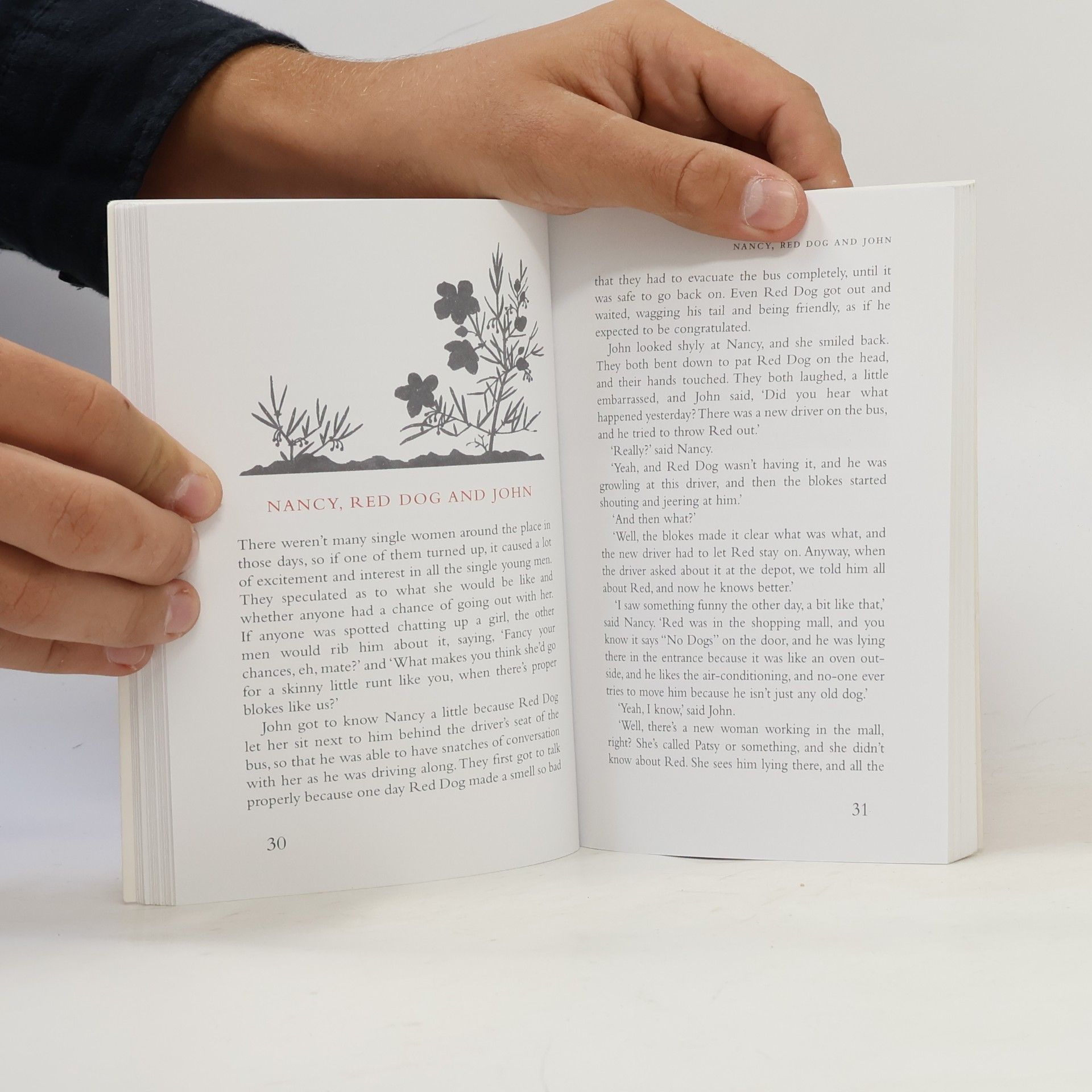 Louis de Bernieres Red Dog Limited Edition