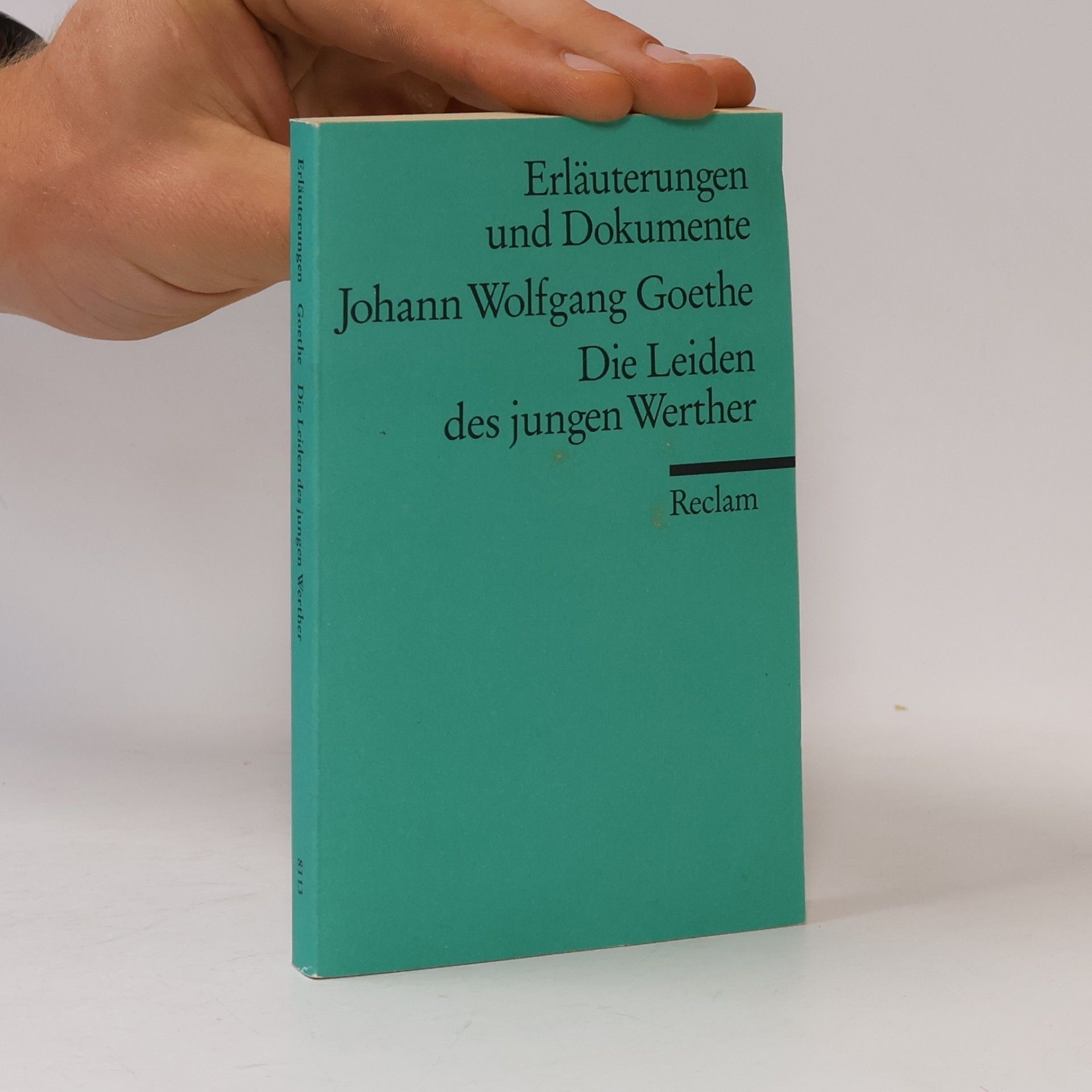 Kurt Rothmann Johann Wolfgang Goethe, Die Leiden des jungen Werthers
