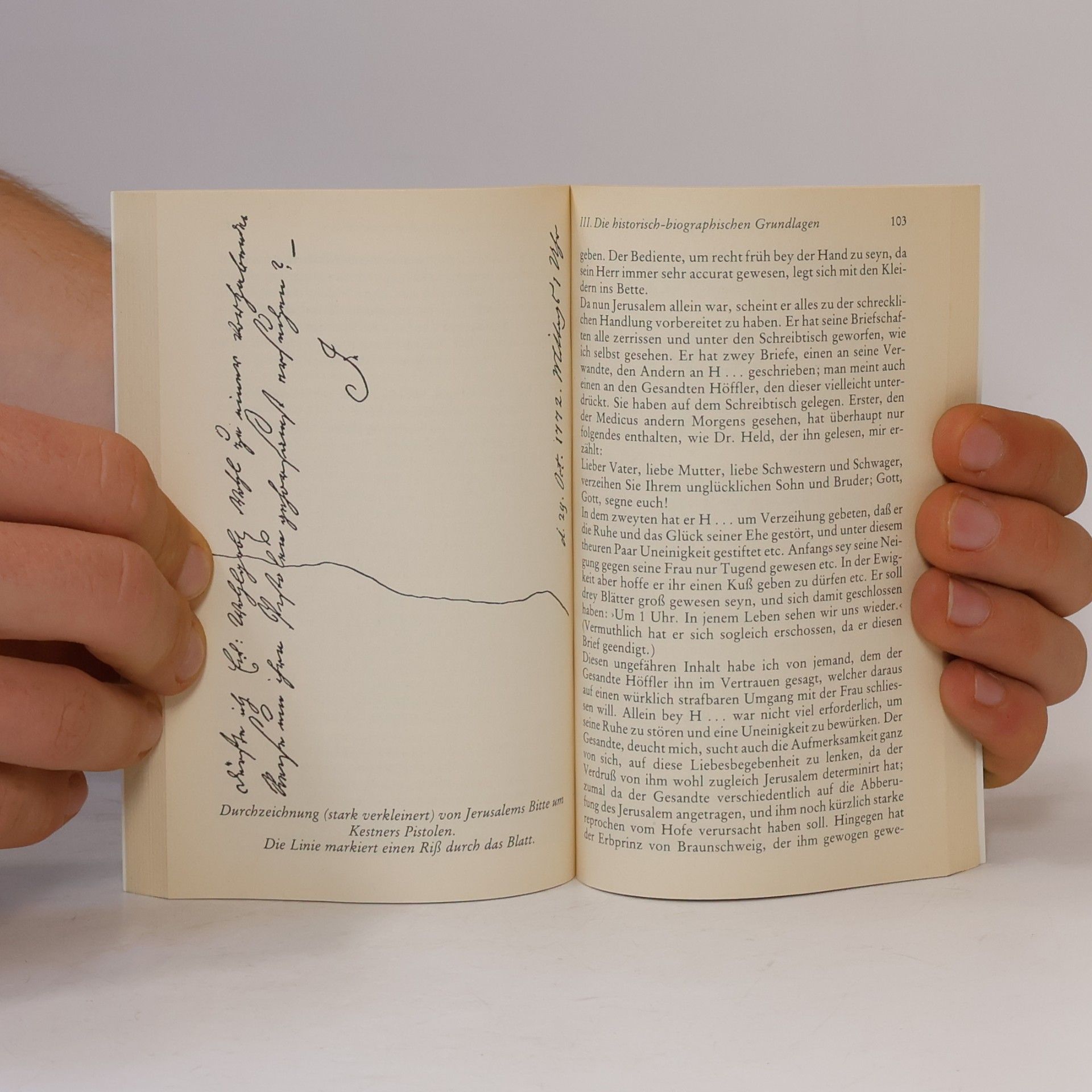 Kurt Rothmann Johann Wolfgang Goethe, Die Leiden des jungen Werthers