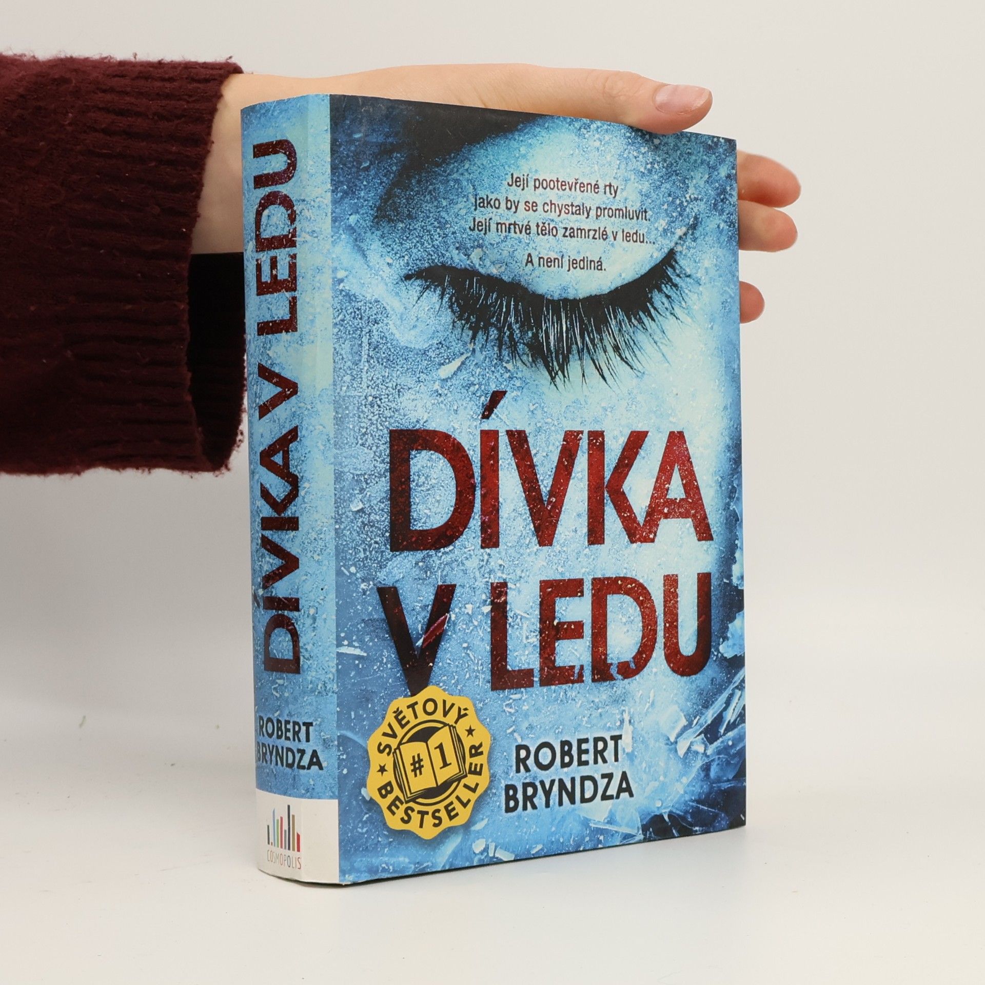 Robert Bryndza Dívka v ledu