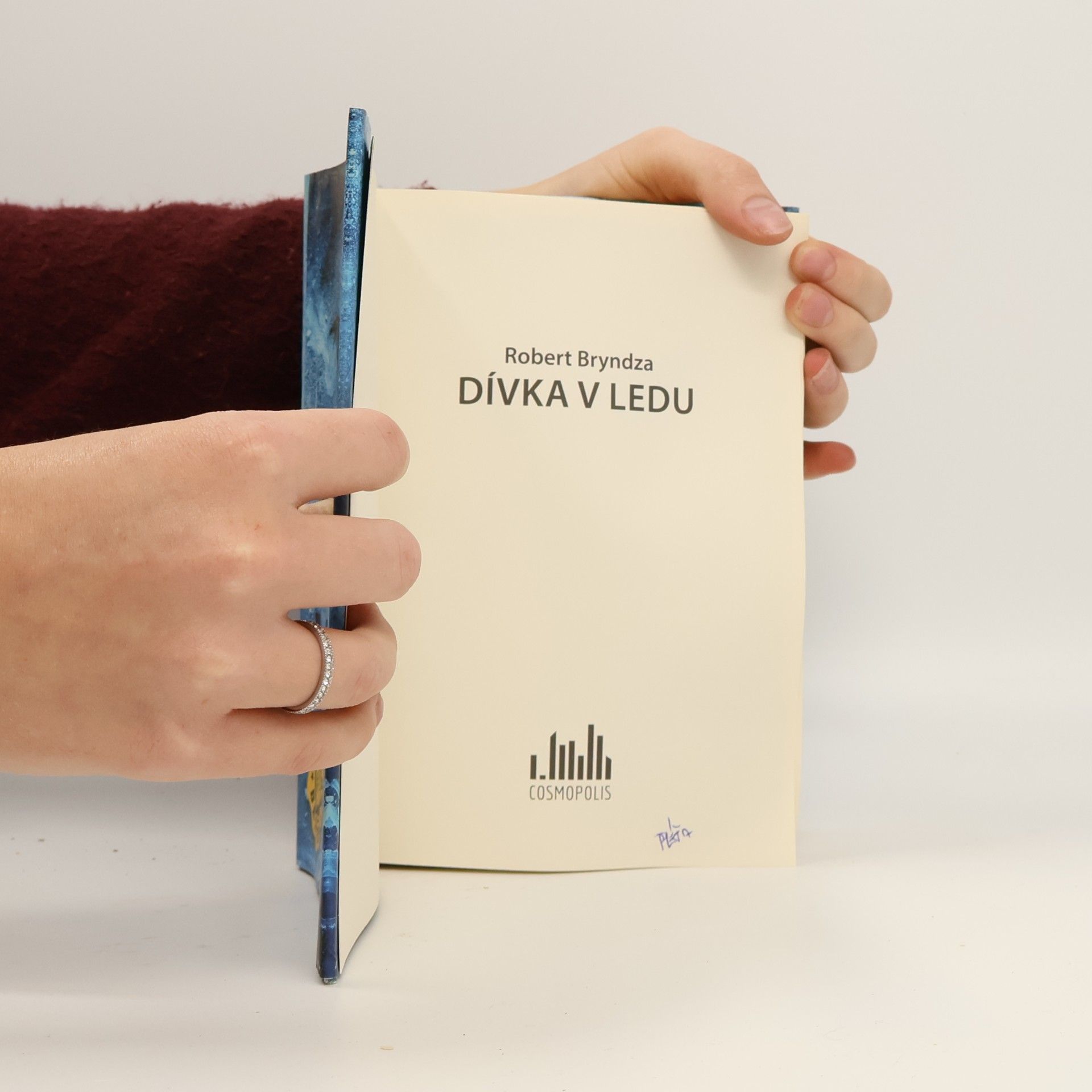 Robert Bryndza Dívka v ledu