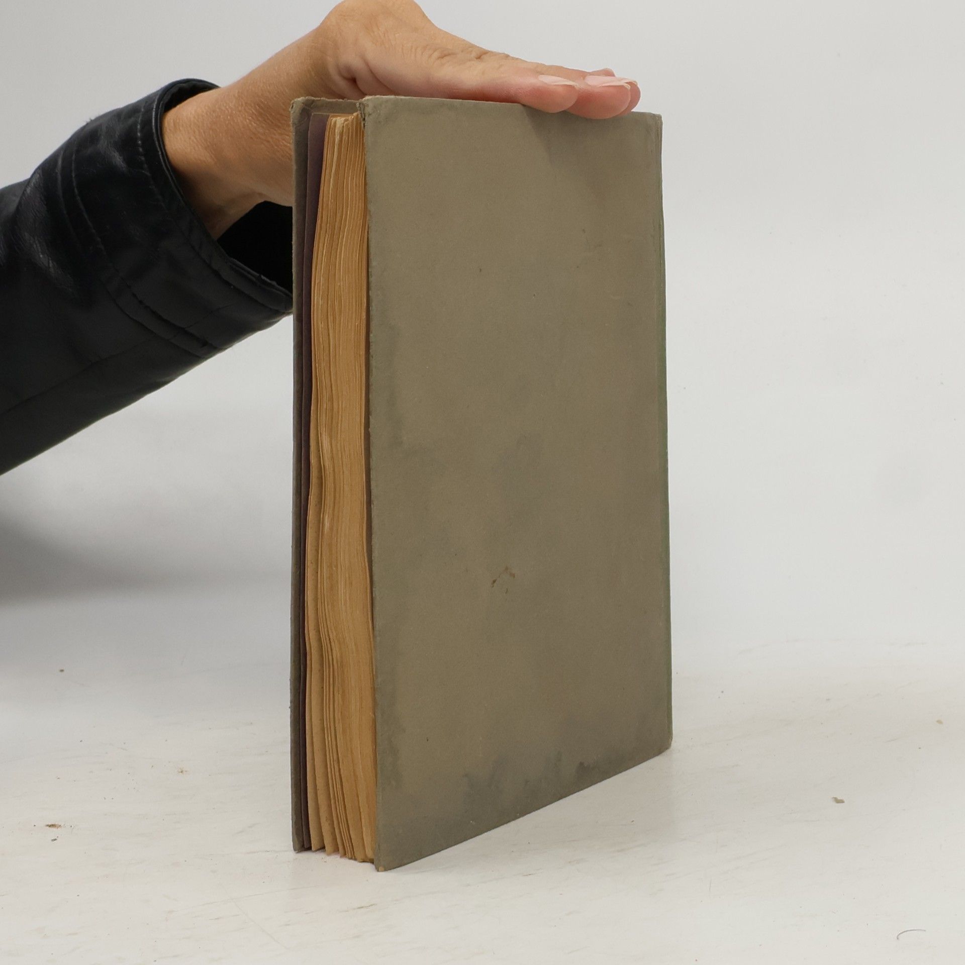 Helene Stöfl Ein Buch von großen und guten Menschen