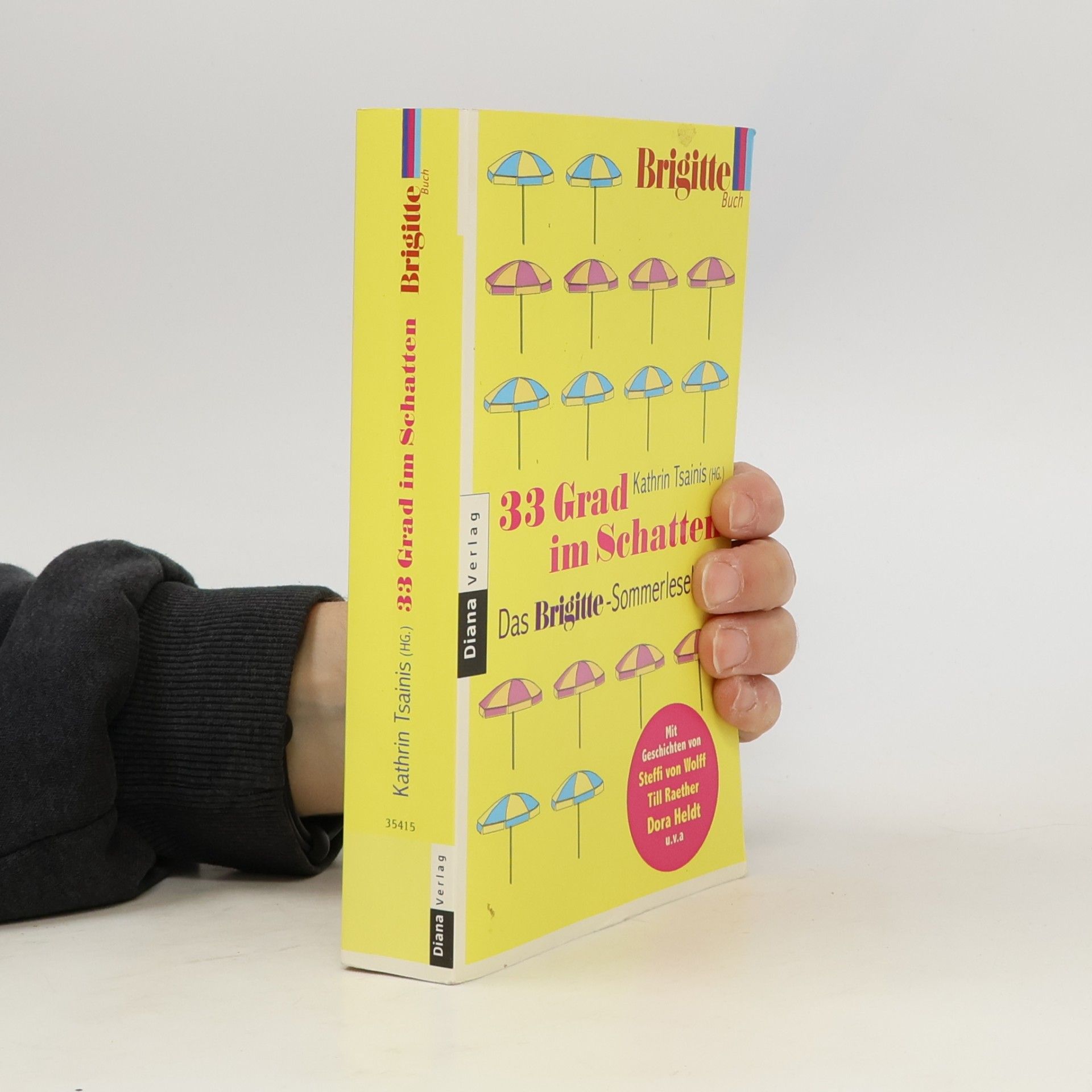 Kathrin Tsainis 33 Grad im Schatten: Das Brigitte-Sommerlesebuch