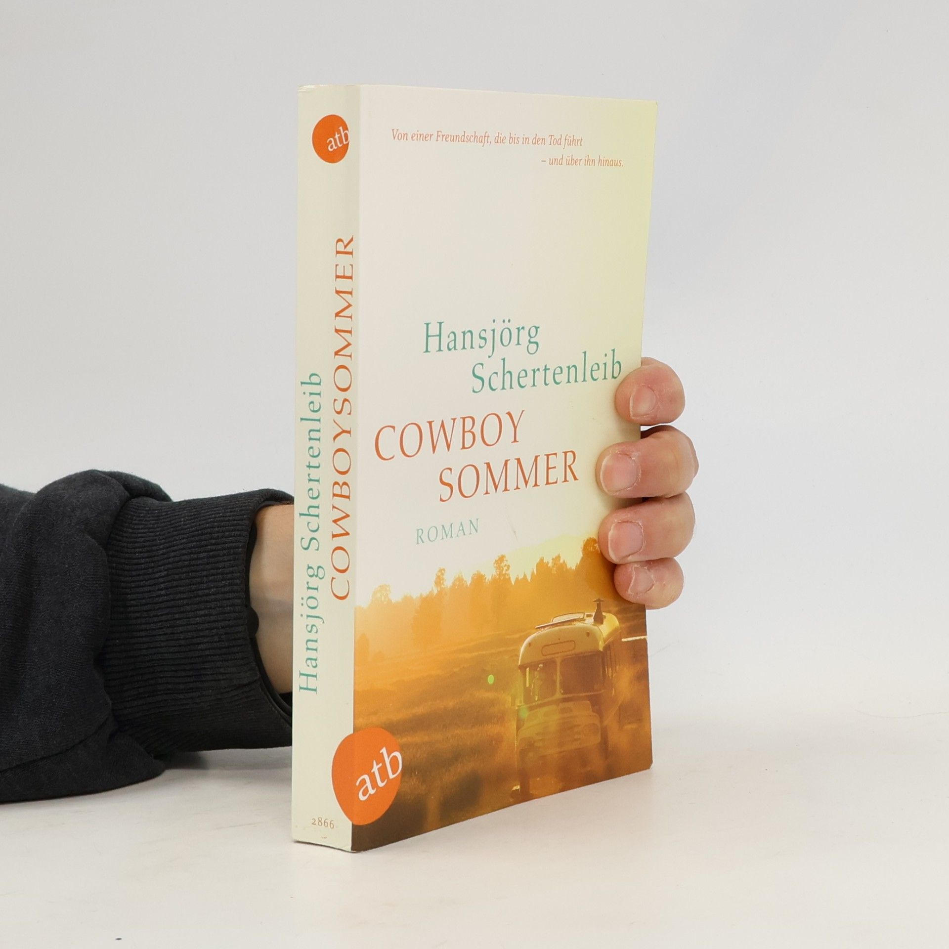 Hansjörg Schertenleib Cowboysommer